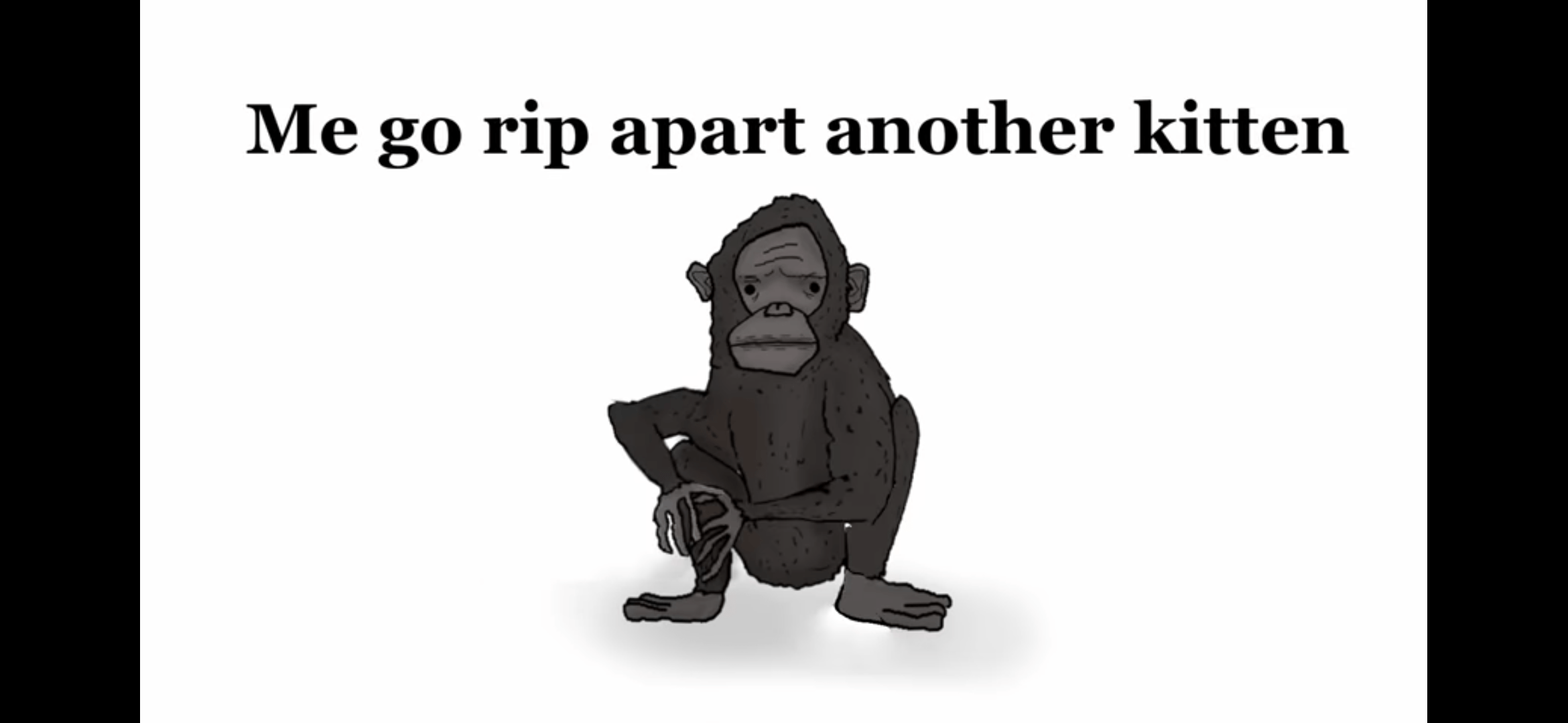 Why do cats get trauma every time. ( r/SamONellaAcademy