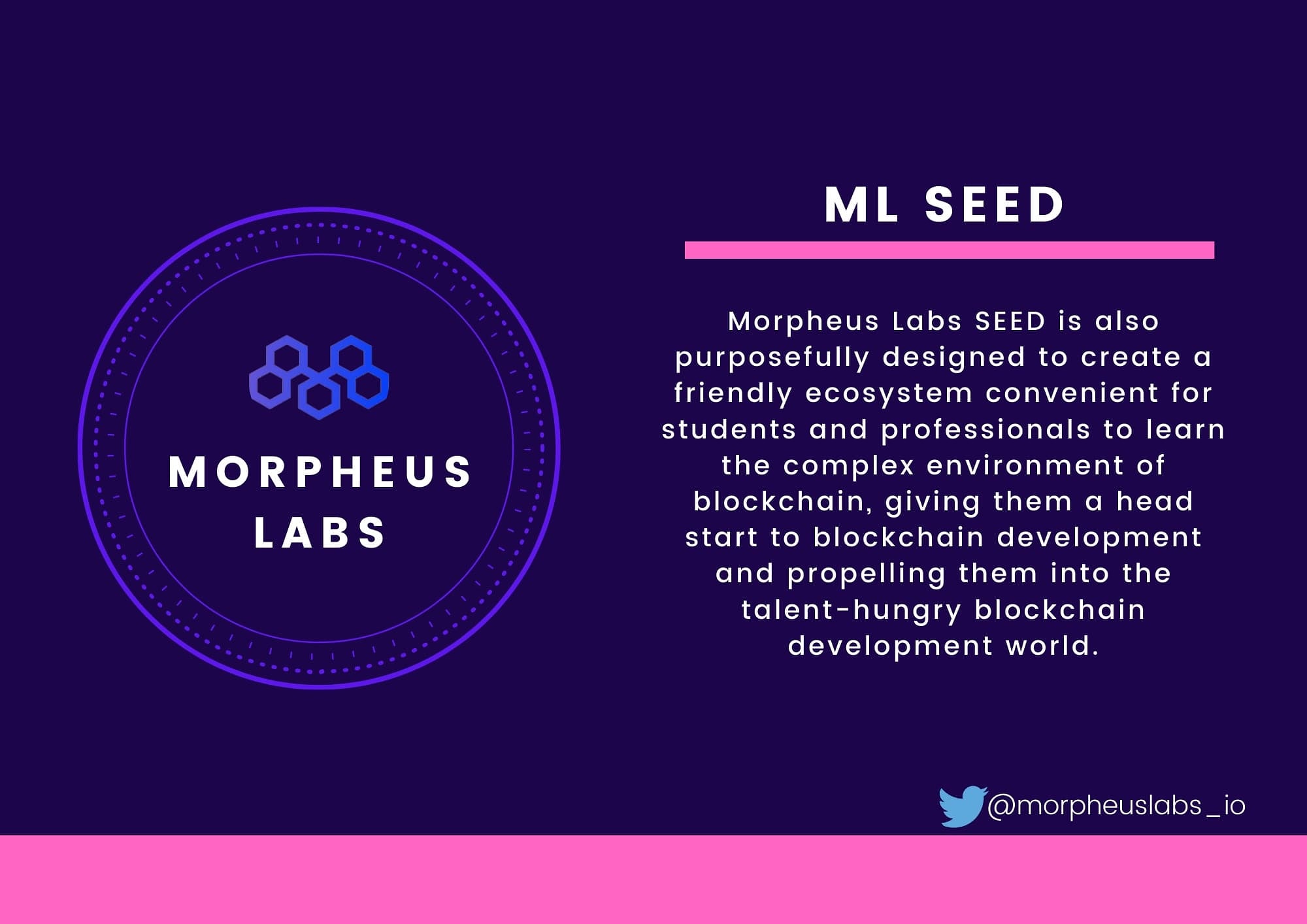 MLSeed of Morpheus Labs has been designed to create a friendly