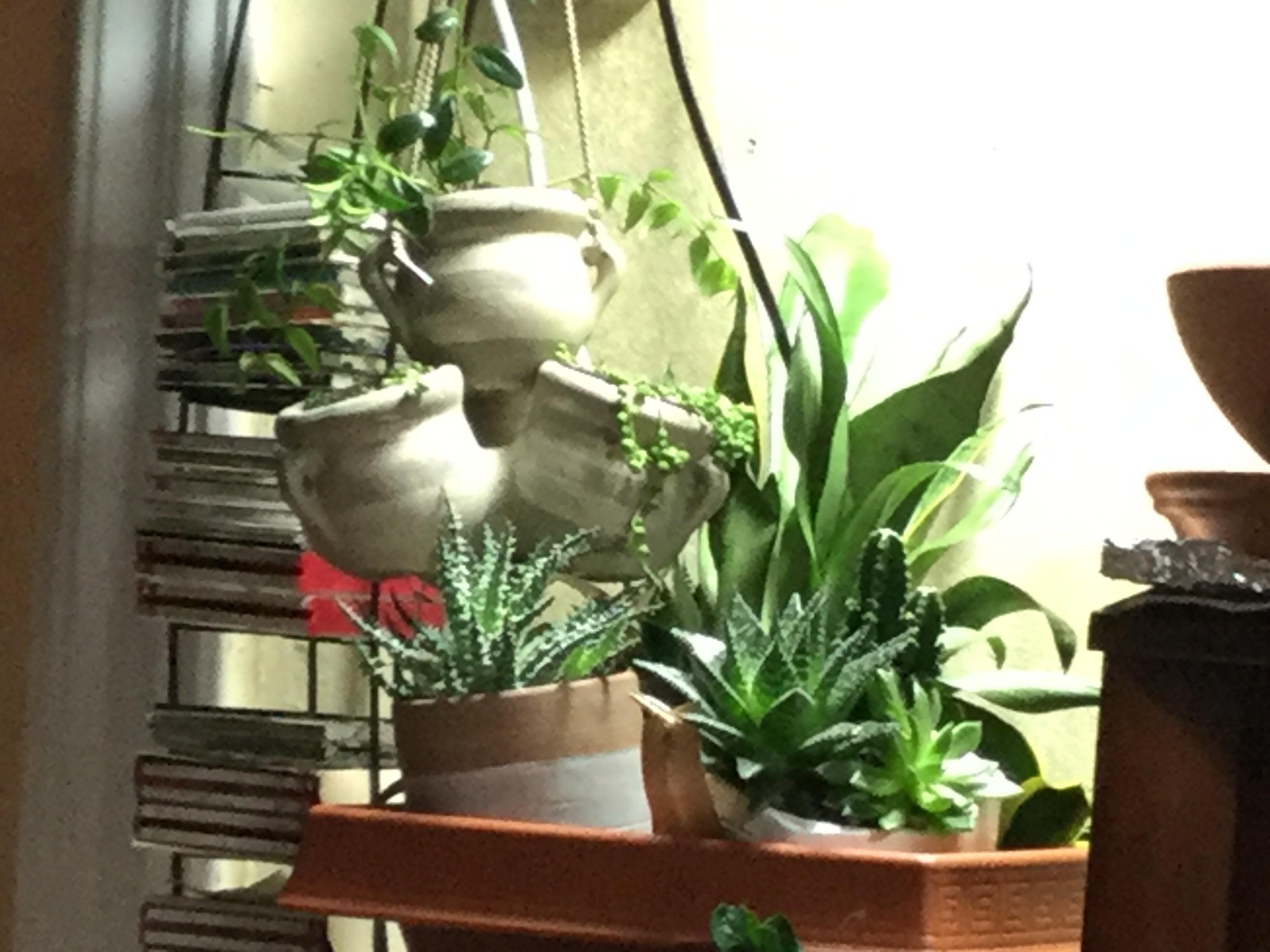 Good pot sale at Rite Aide!!🤣 r/plantsandpots