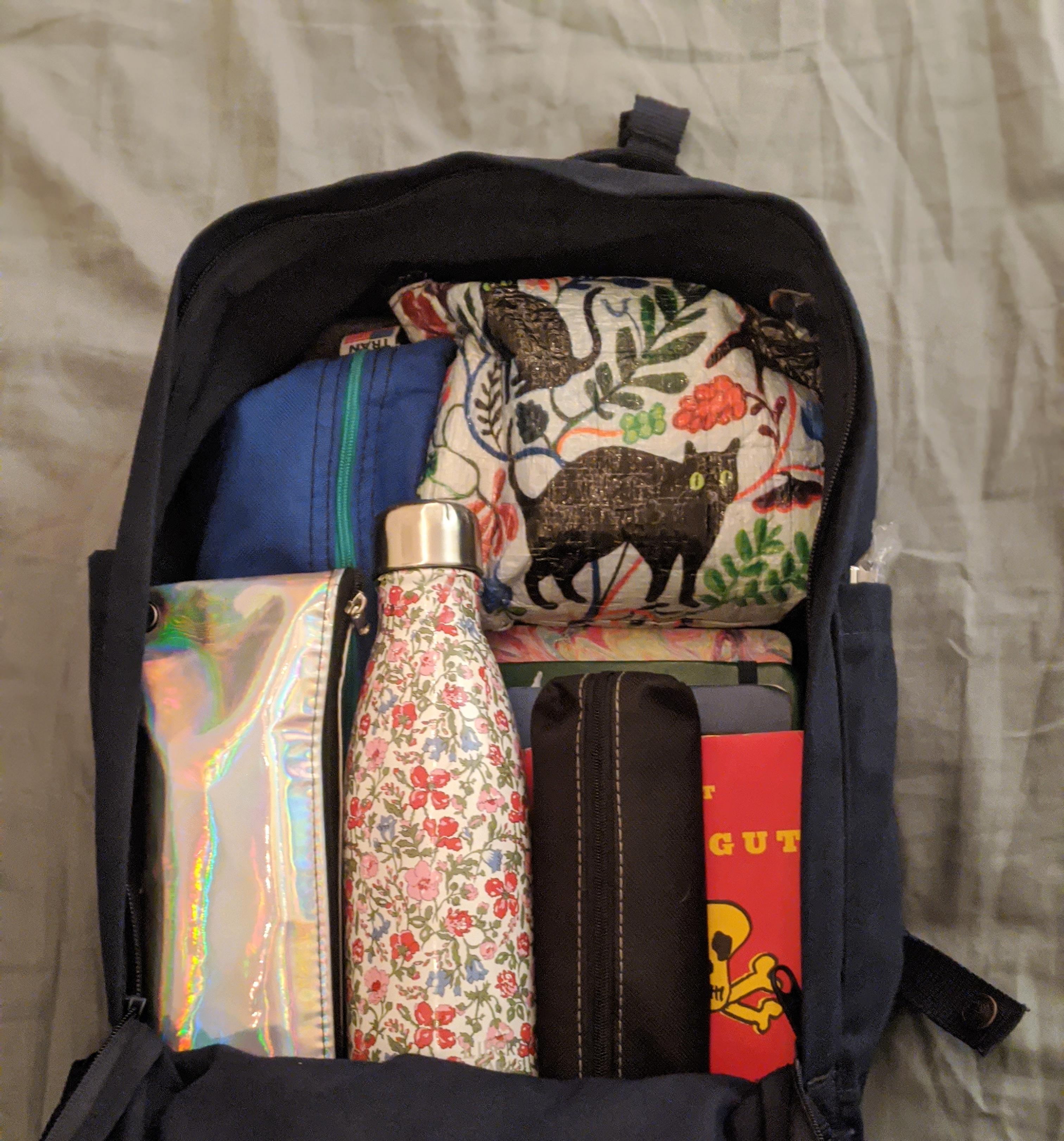 How neatly everything fits into my daily grab bag. Contents listed