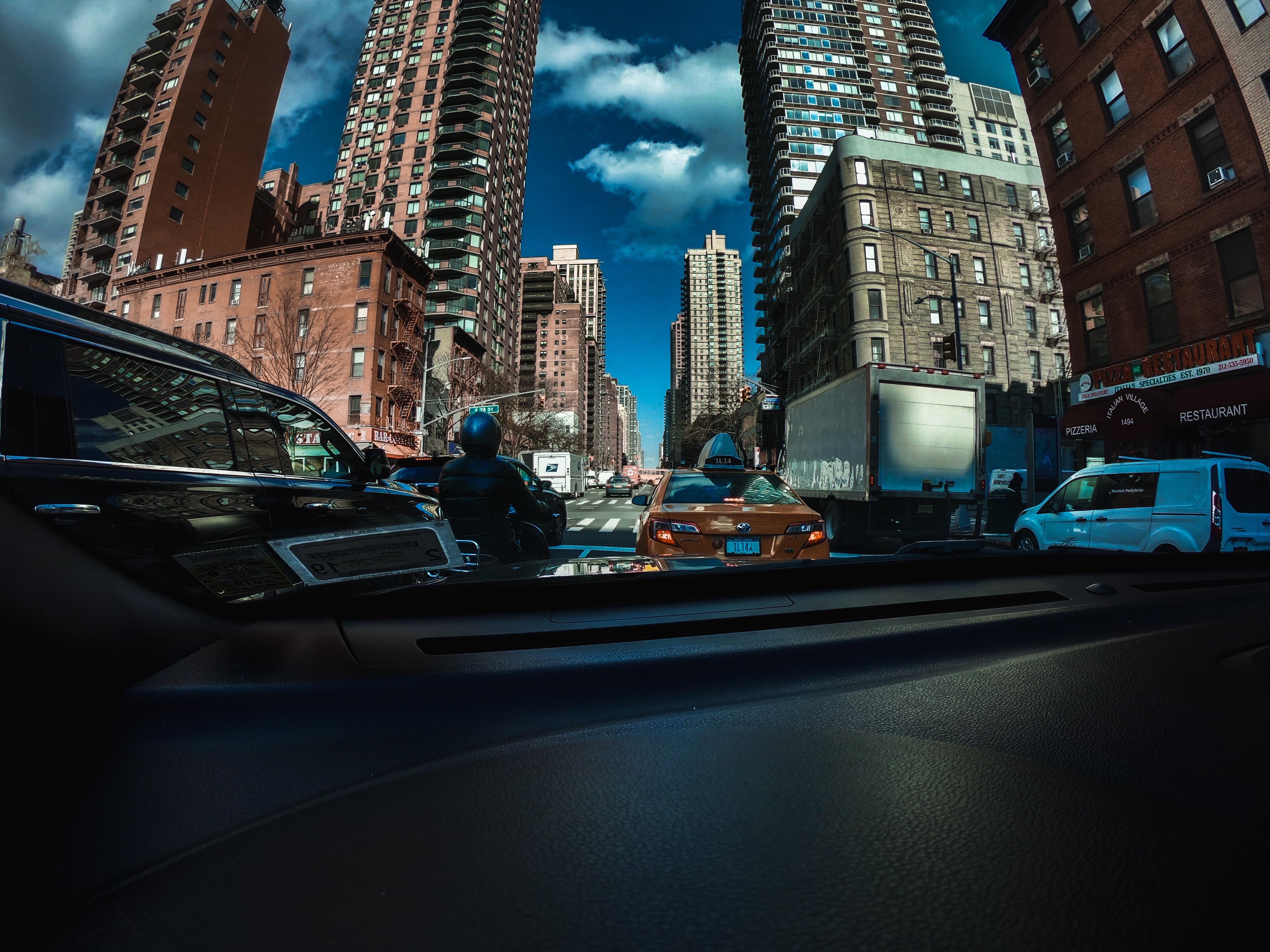 The Concrete Jungle r/NewYorkCityResidents