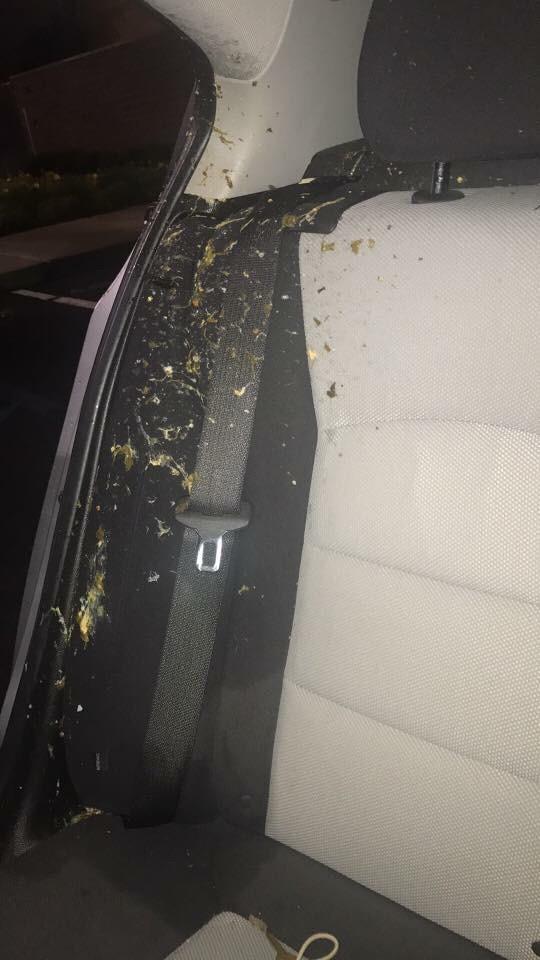 Girl puked in my car. Smelled like stale fish and I almost puked all