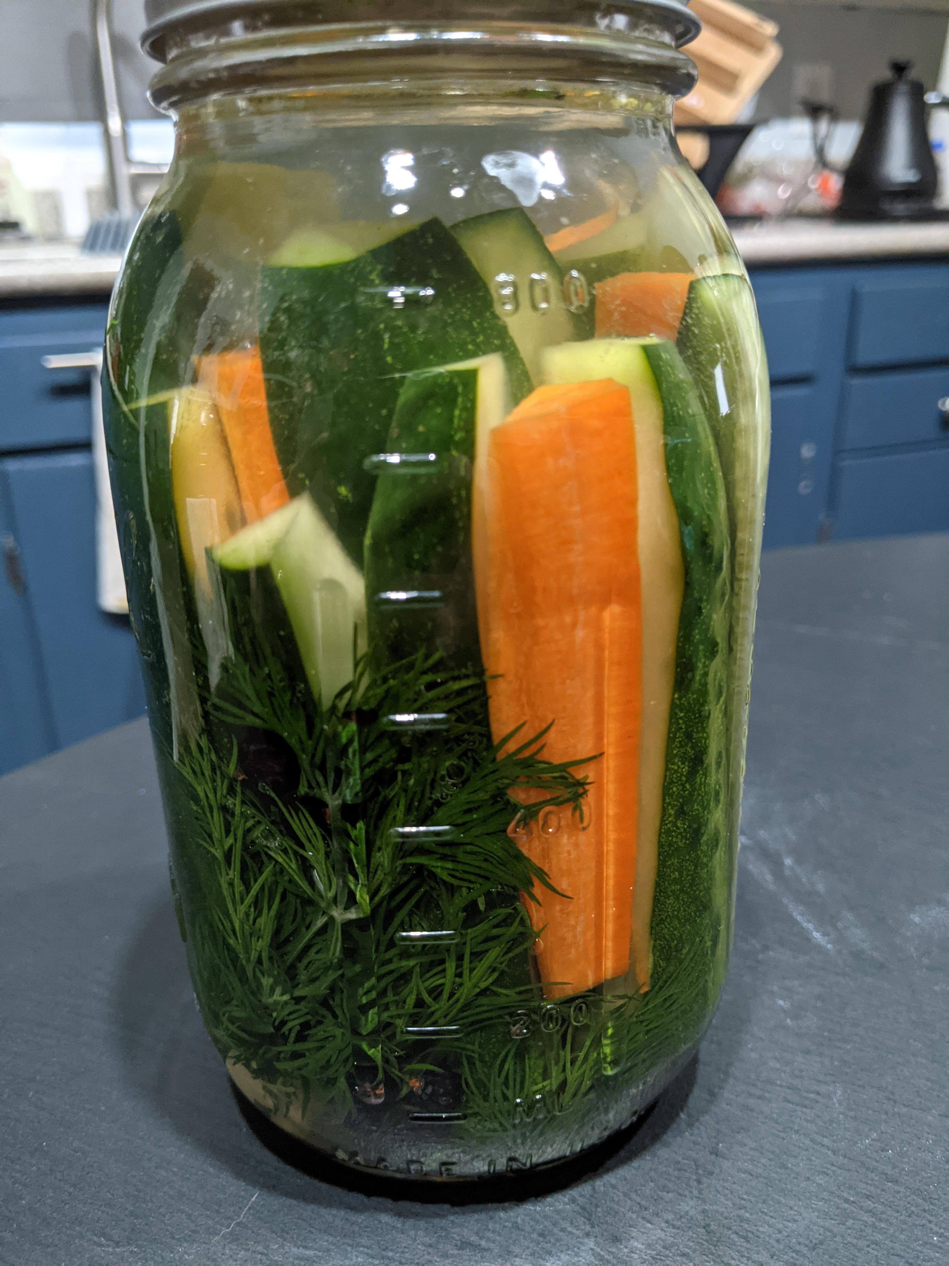 First attempt at fermenting! Lactofermented Pickles ) r/fermentation