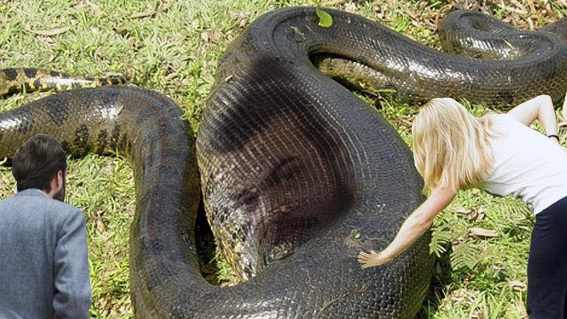 Jandro hate thread for being the biggest snake SamPepper