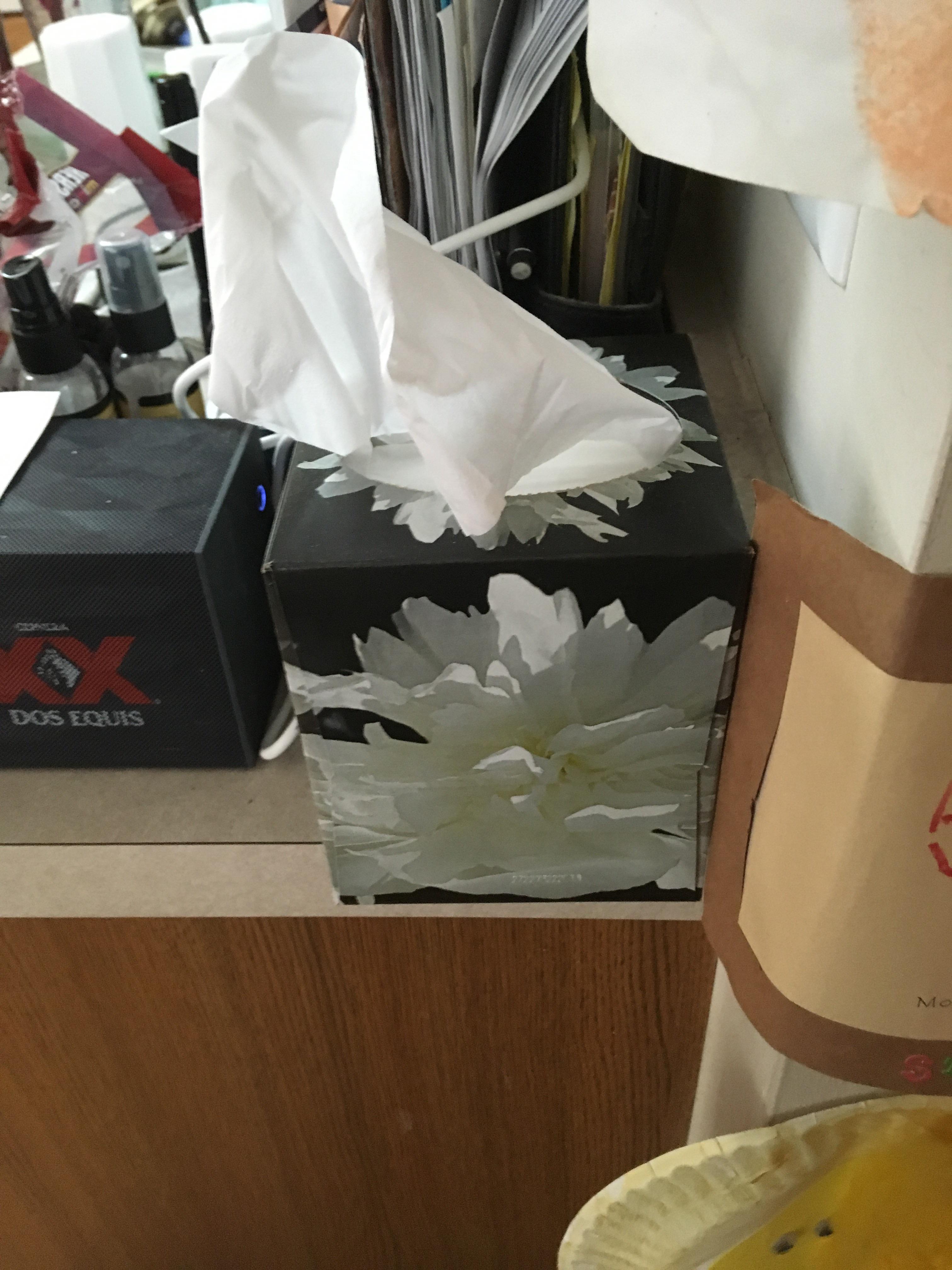 Flower looks like a Snotty Tissue r/mildlyinteresting