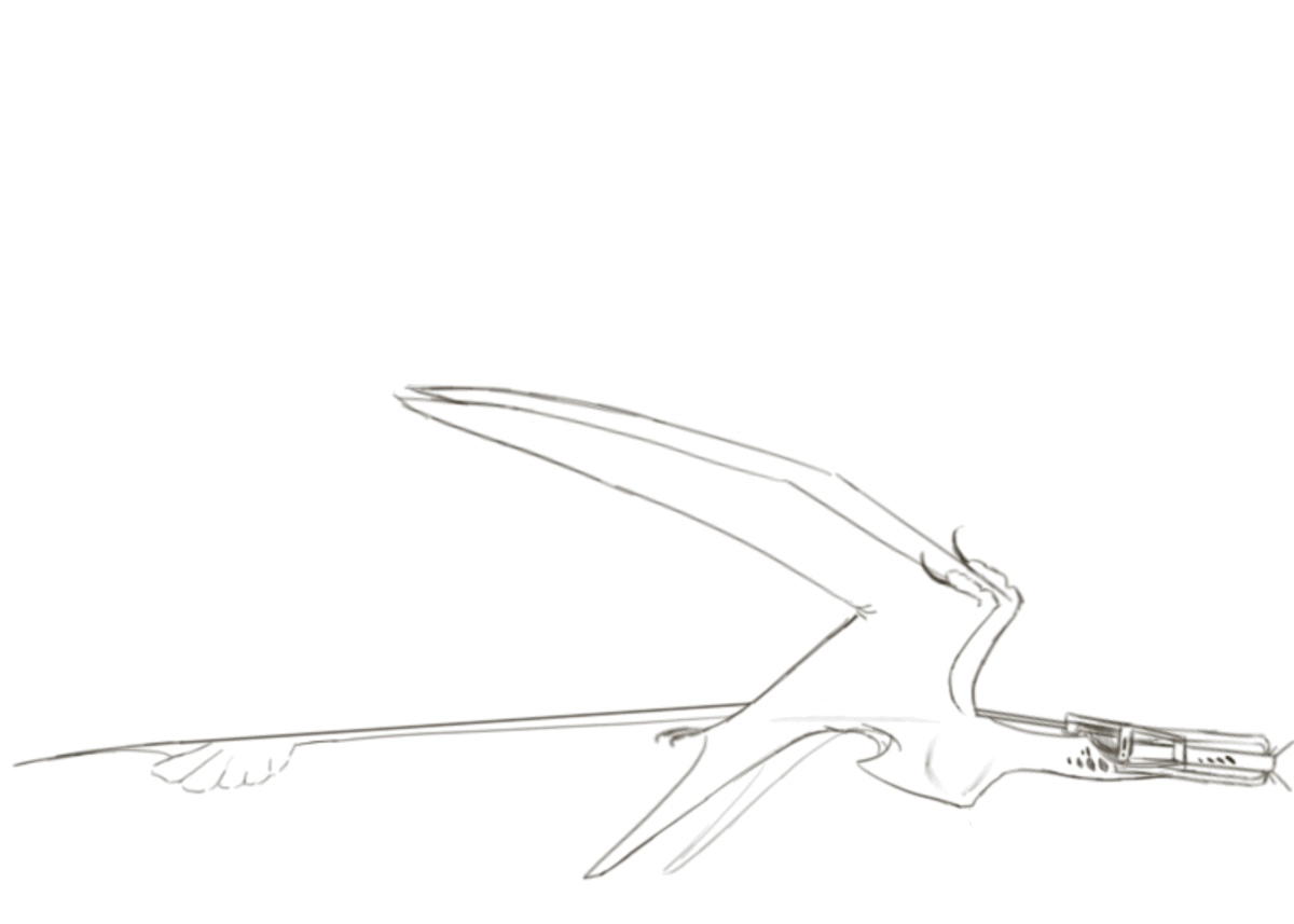 View Airplane Coloring Pages Color Pages Colle vrogue.co