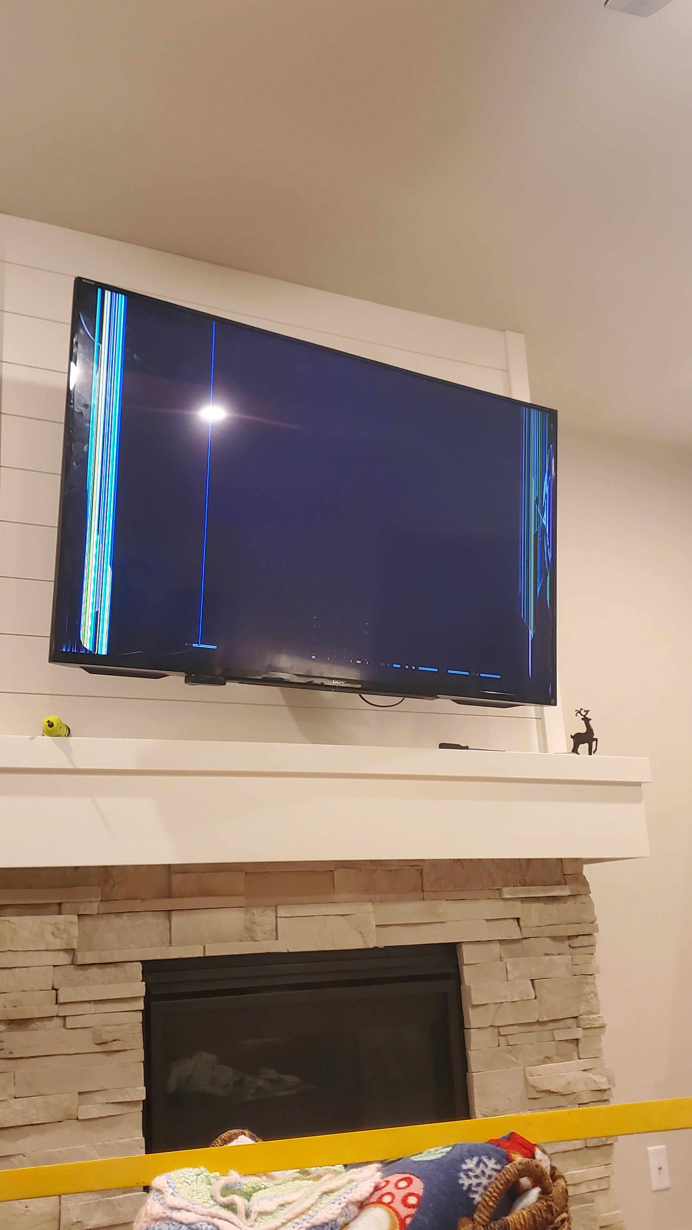 Is this fixable? Black screen with vertical lines. 8 year old Sony