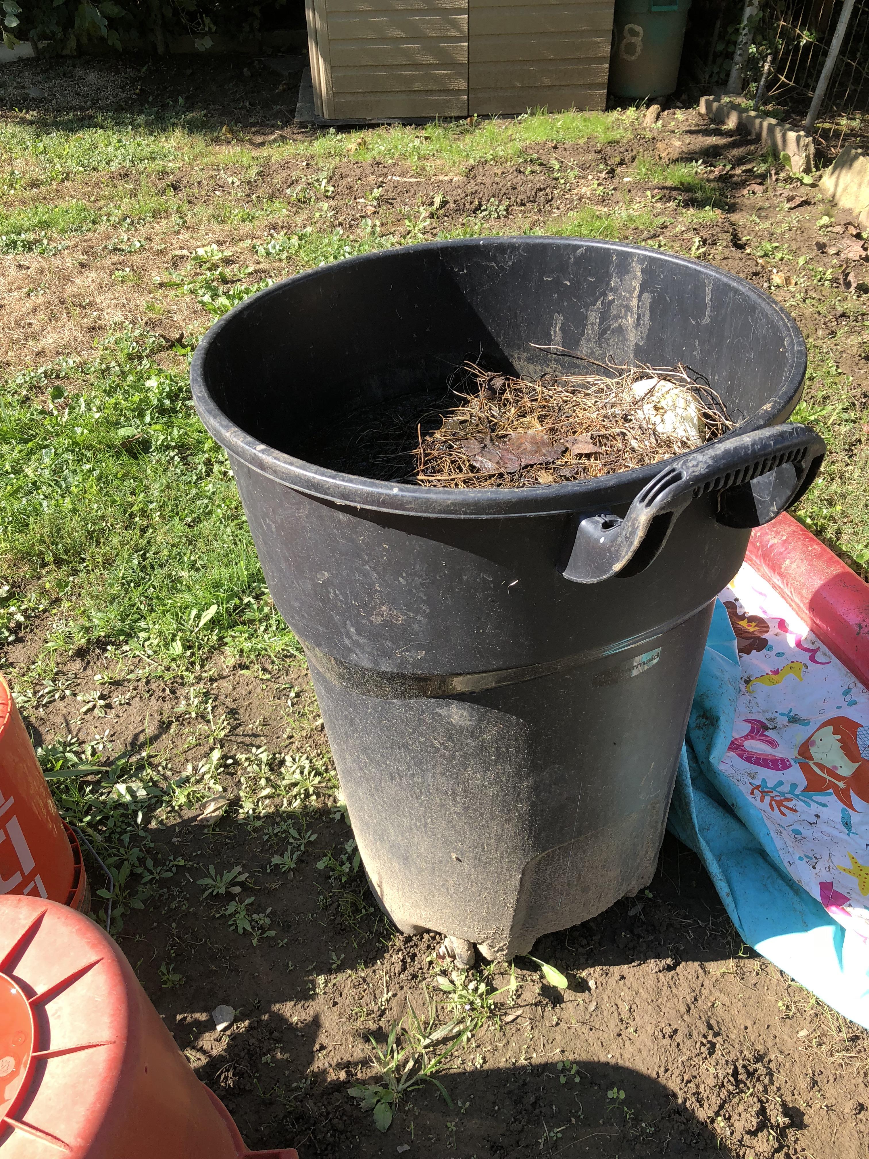 Need help/suggestions for this bucket of yard sludge that we just