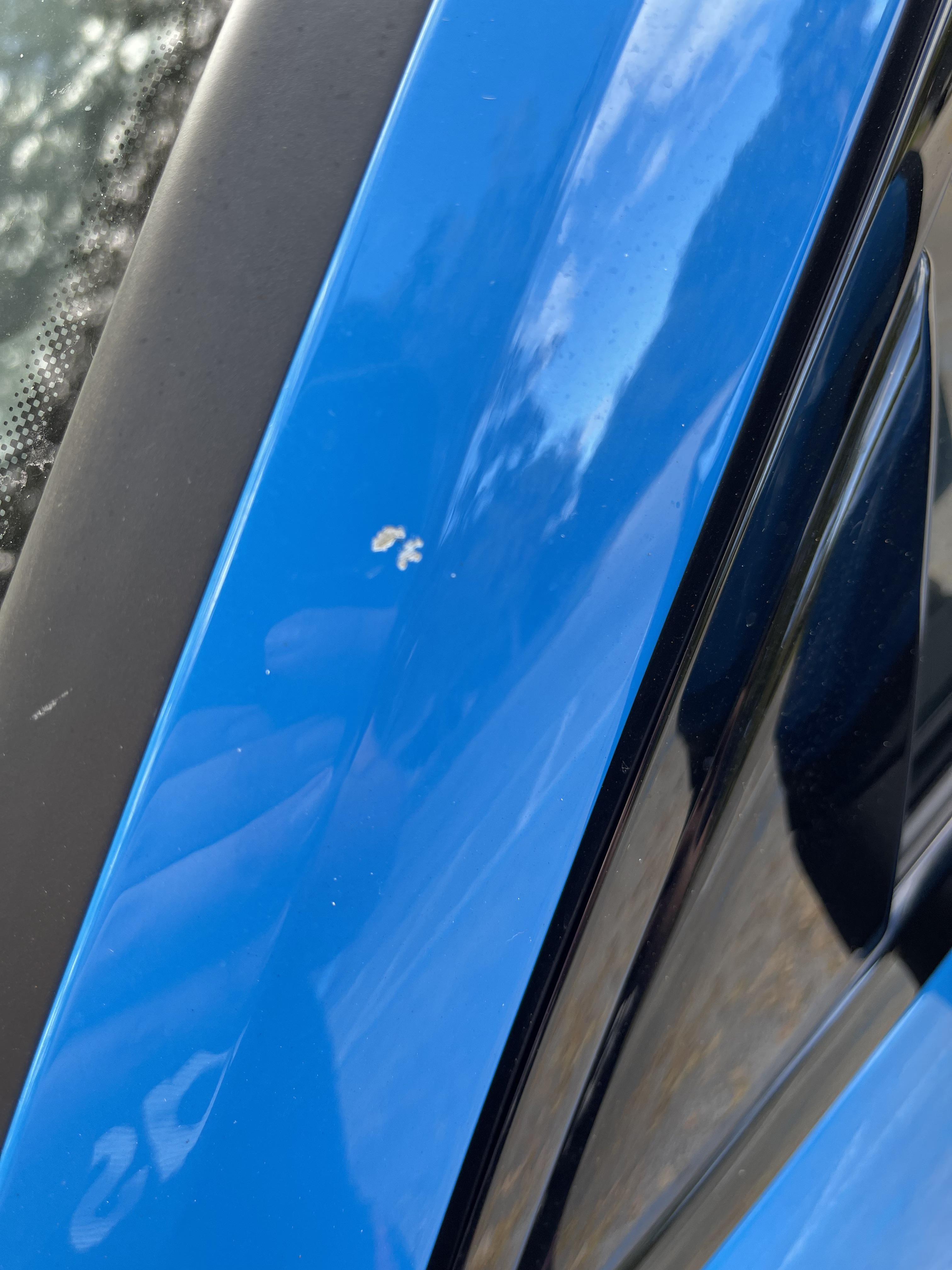 Anyone know how I can fix a chip in the paint? r/Audi