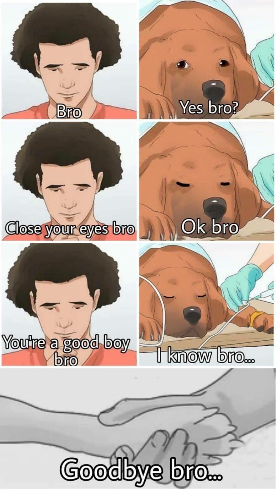 With out you bro meme PewdiepieSubmissions