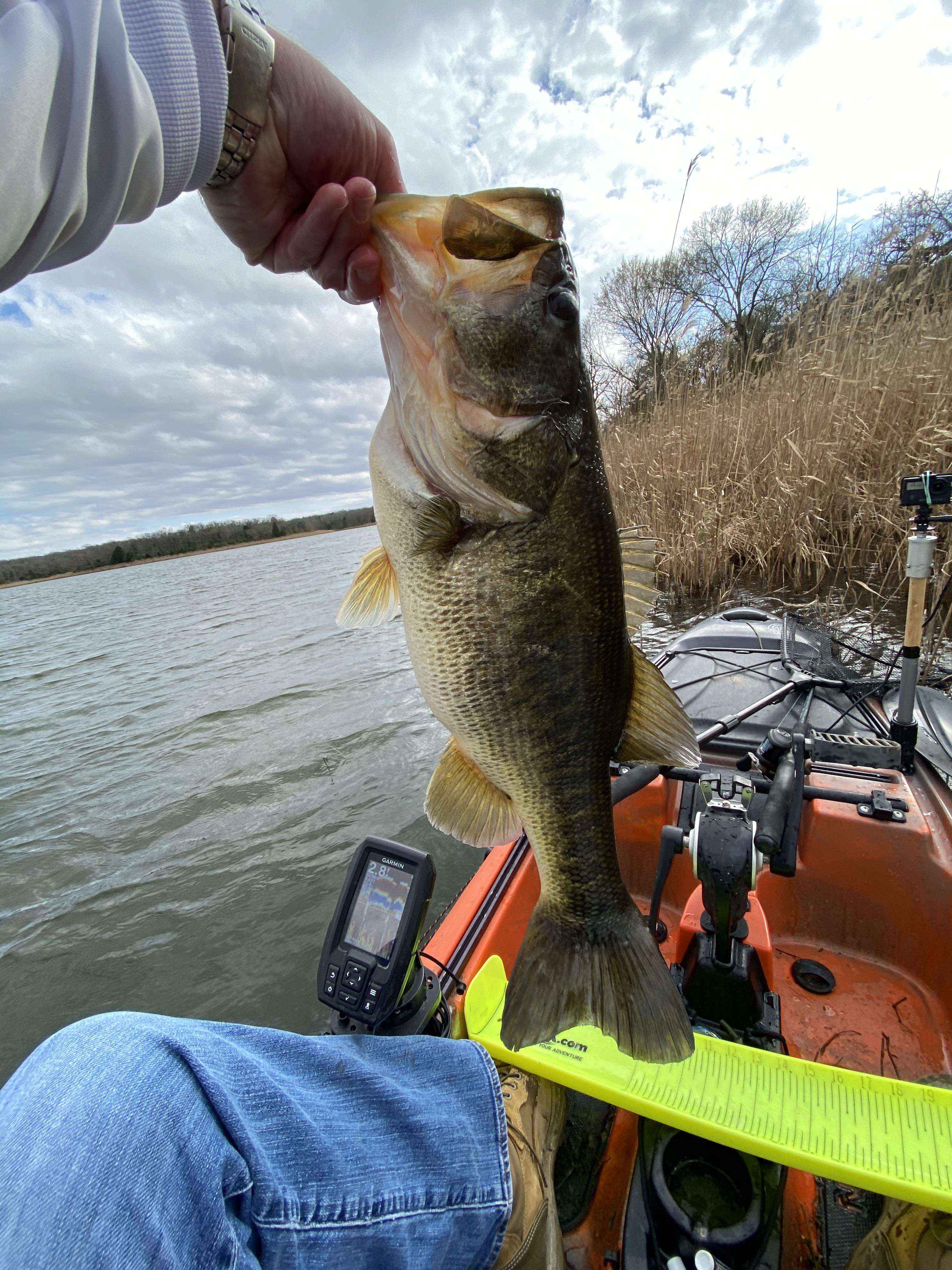 20.5" 5lbs. 5oz. biggun I caught while fishing a tournament today on