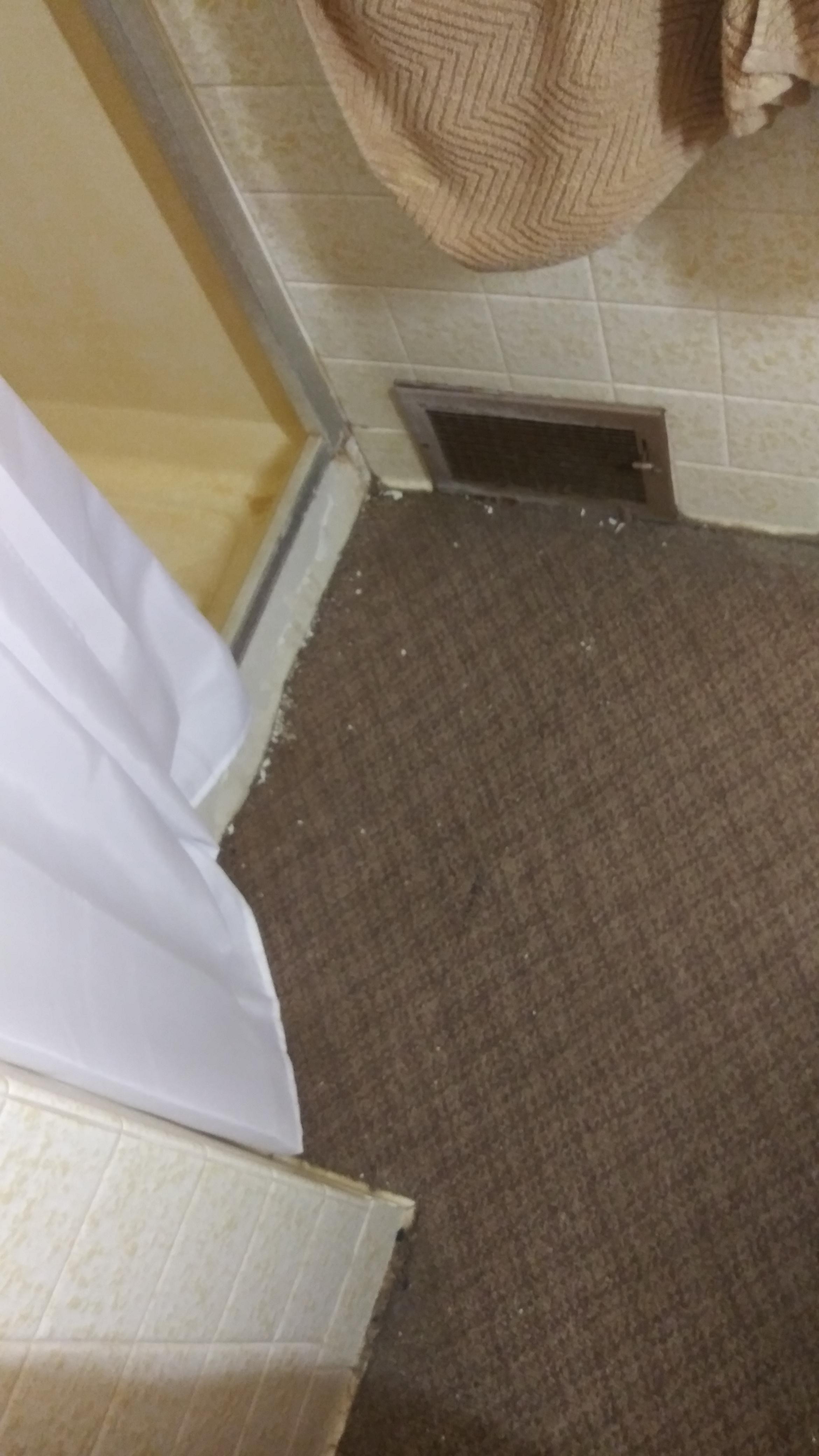 Carpeted bathroom r/mildlyinfuriating
