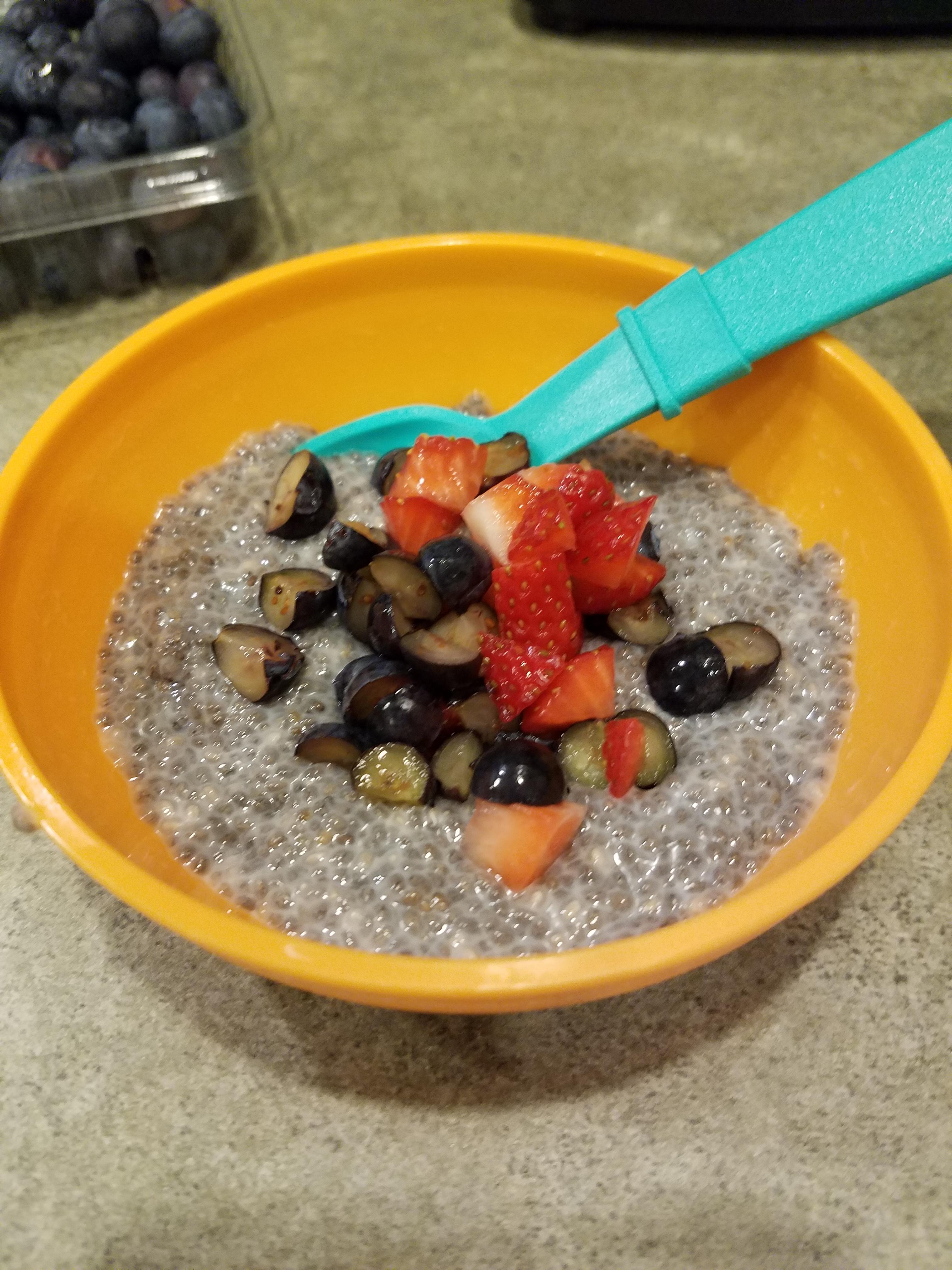 Breastmilk chia pudding. Recipe in comments! r/breastfeeding