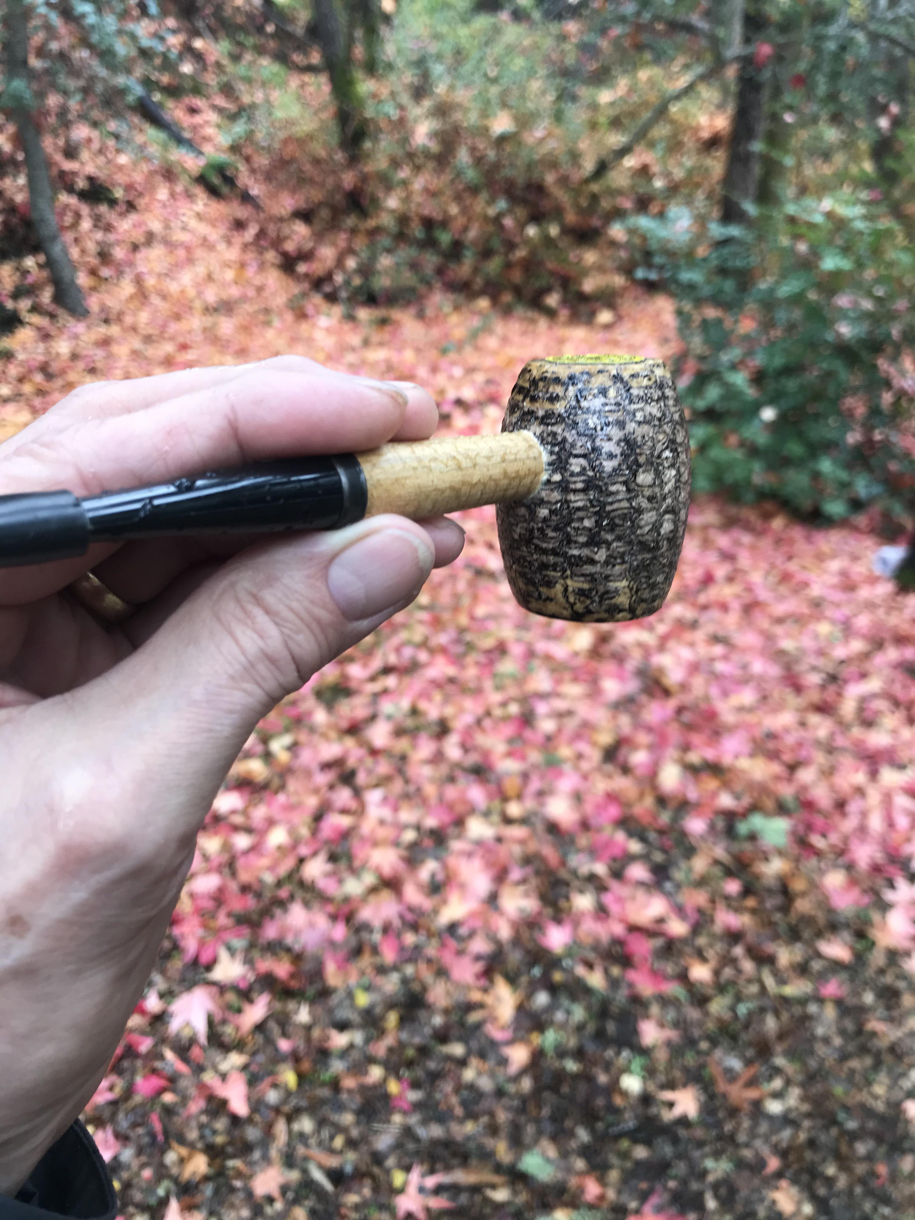 Went for a lunt on a new trail. It was raining. Smoking my pipe upside