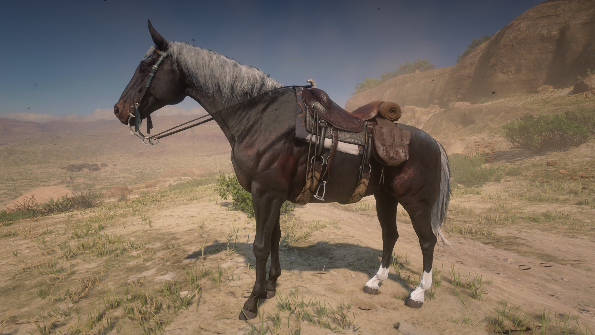 I modified Rachel's mane and tail to make her look like the War Horse