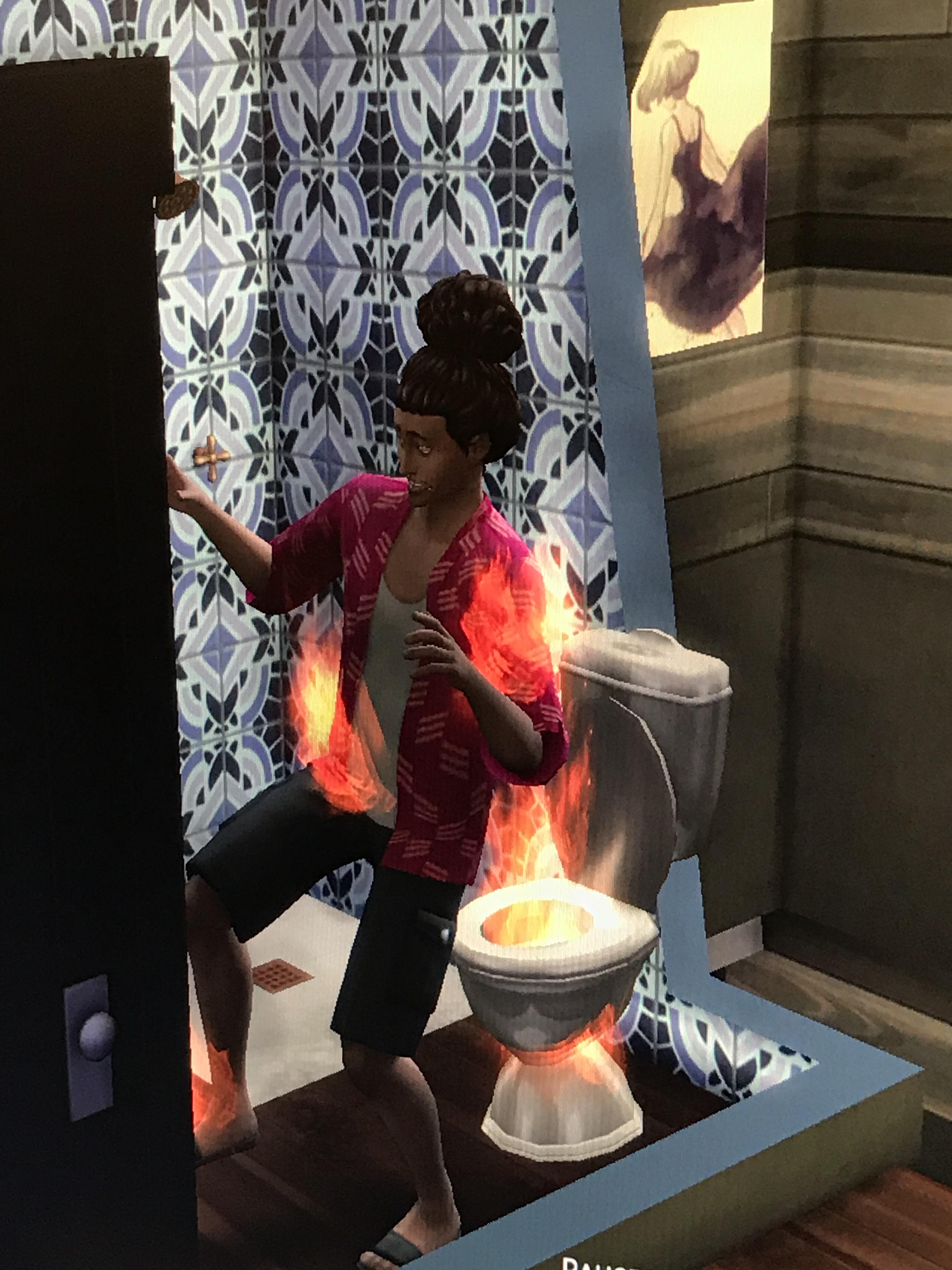 Toilet Fire! Toilet Fire! r/thesims