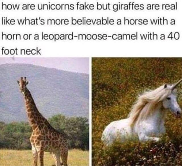 Why aren't Unicorns real 😖 r/memes