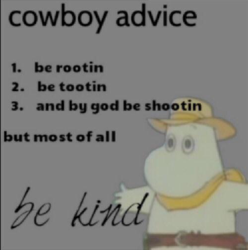 Cowboy advice memes
