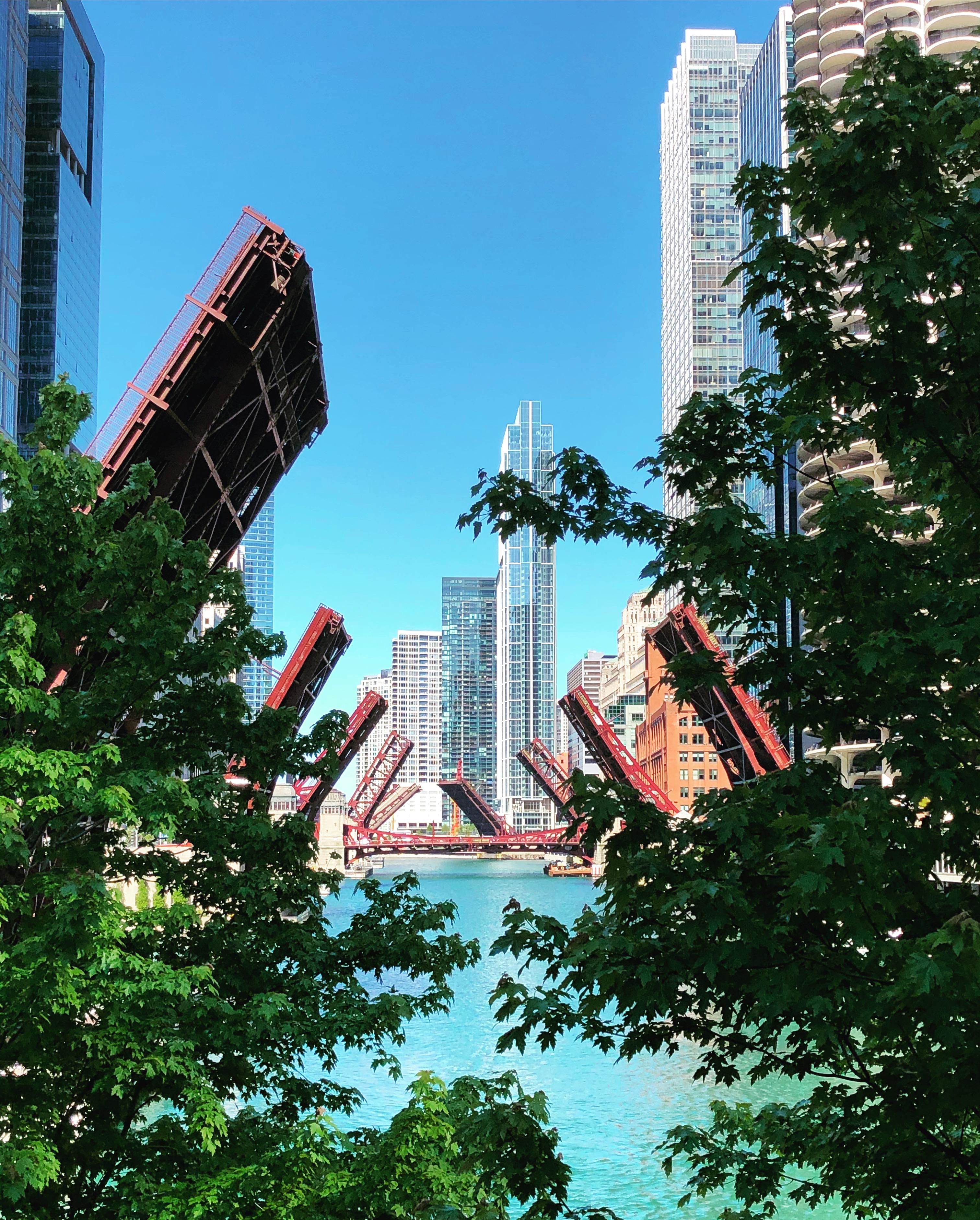 Raised bridges in Chicago The best designs and art from