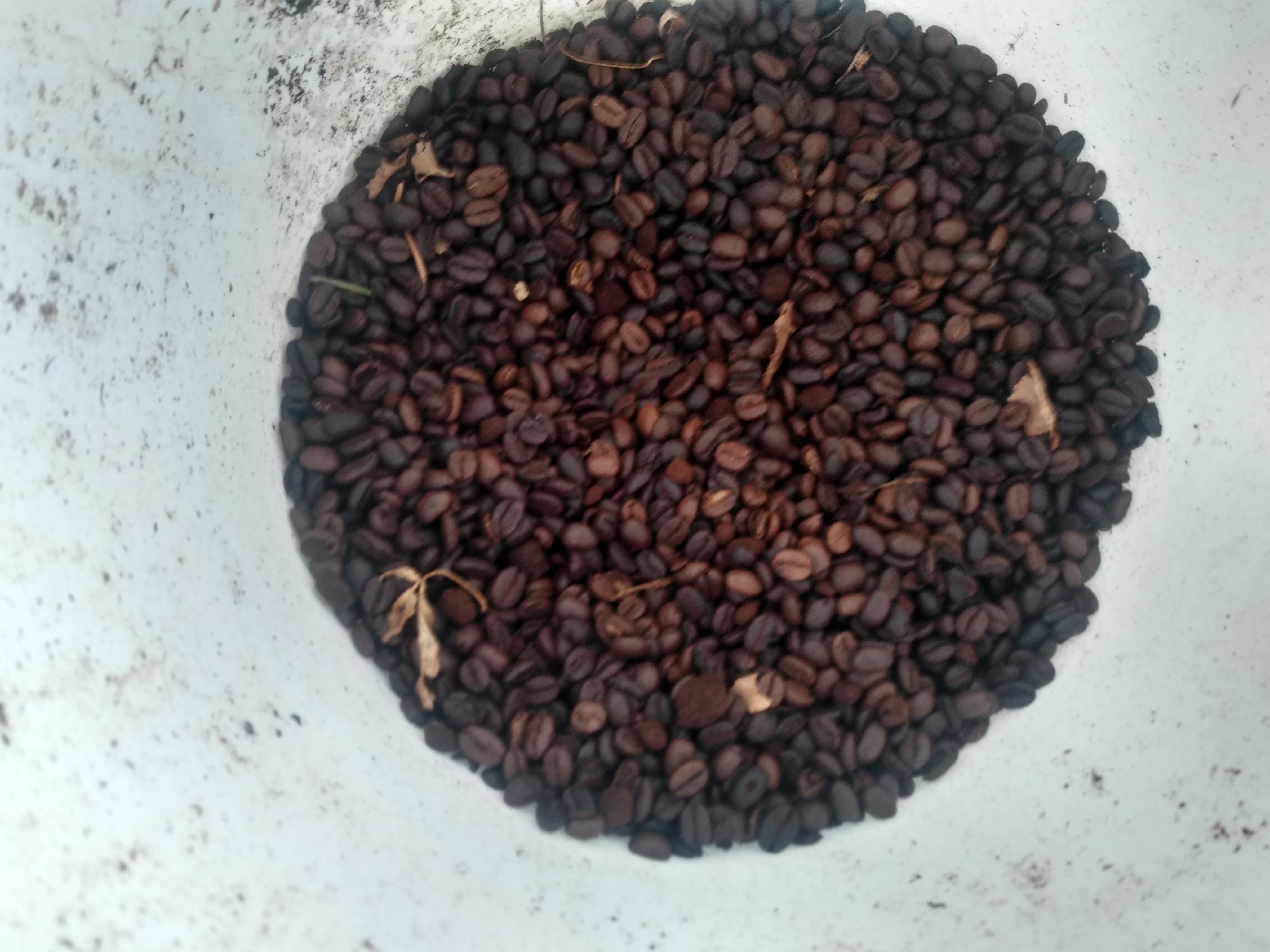 Coffee beans. I have noticed coffee beans in my coffee grounds I
