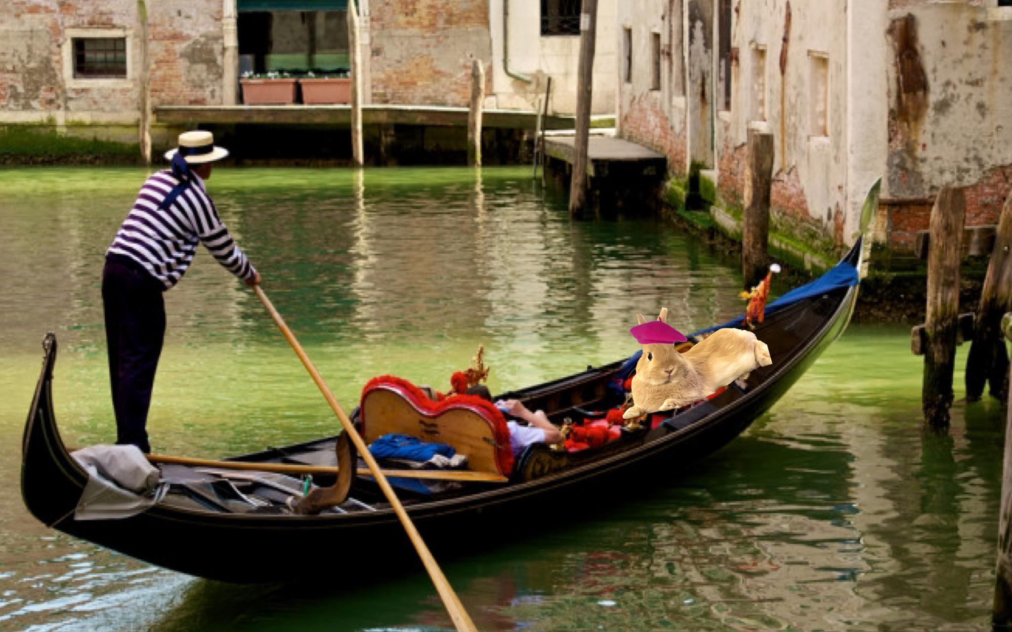 Today in the adventures of “Bean There, Done That”, Bean is in Venice