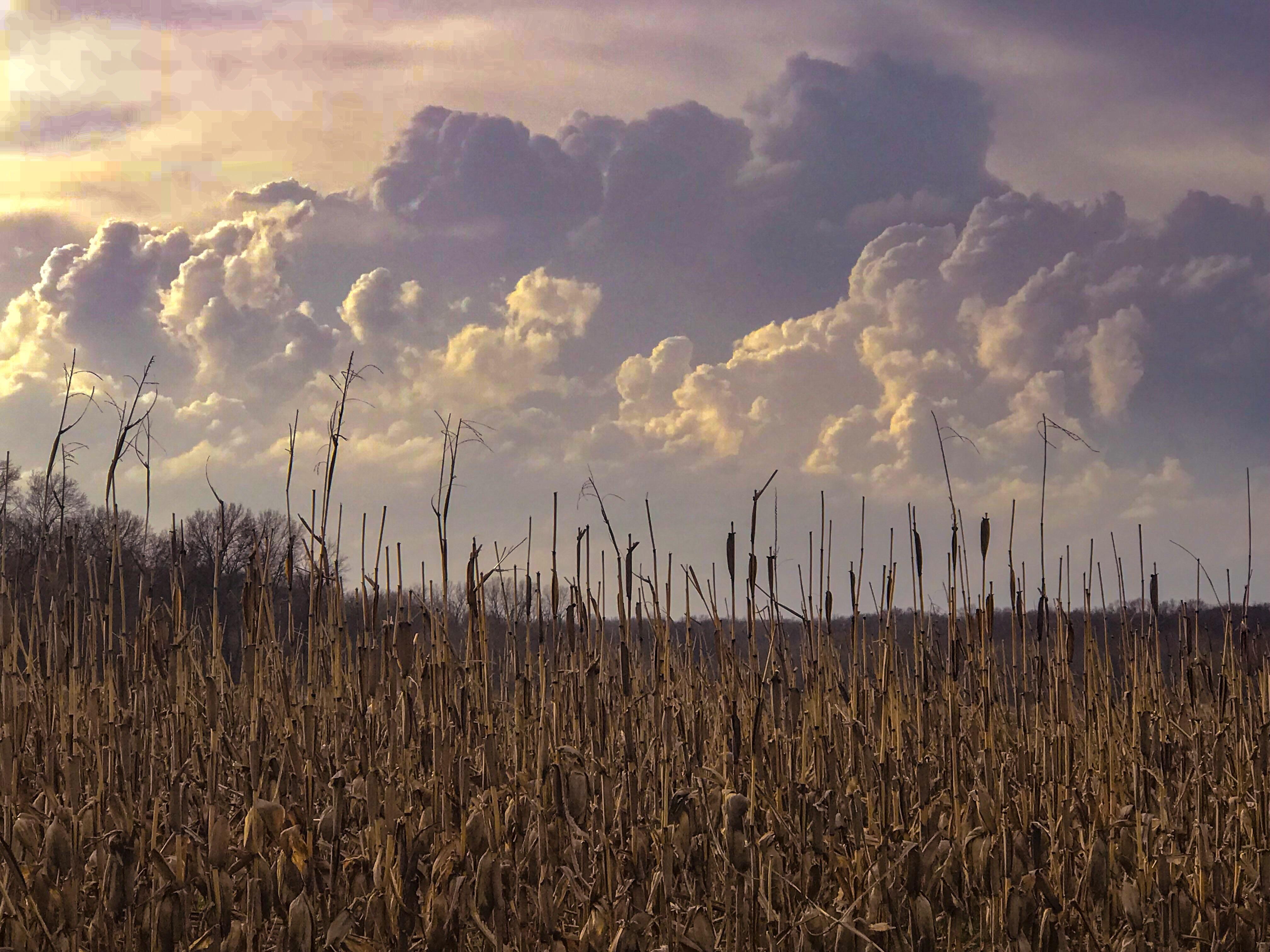 Spring Rains Over the Plains (OC) r/LandscapePhotography