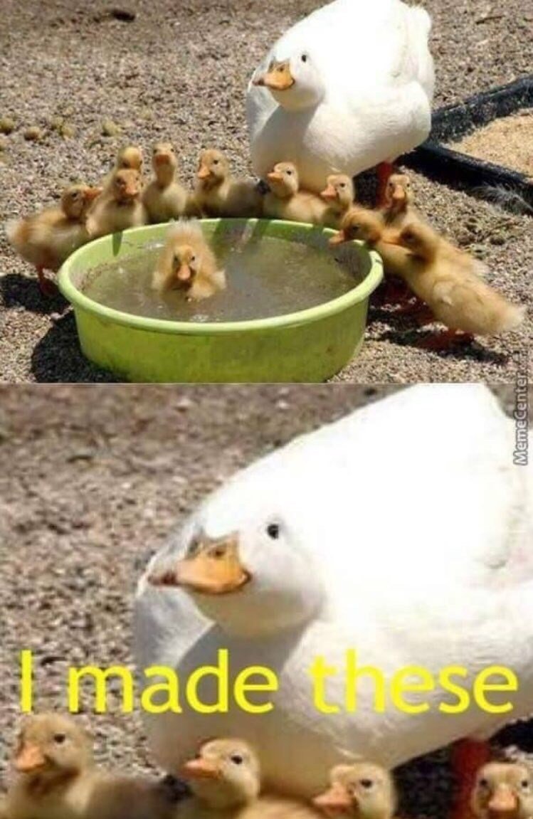 Goose goose duck r/memes