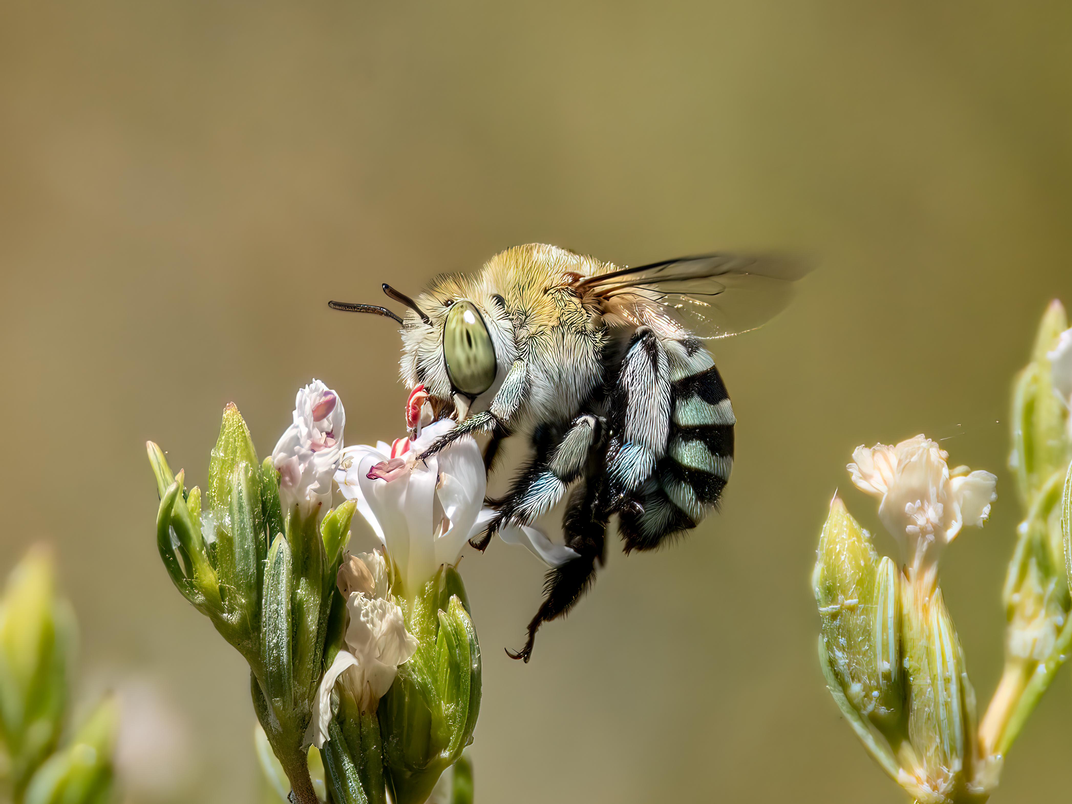 41 Hilarious Baby Shower Bee Puns Punstoppable 🛑