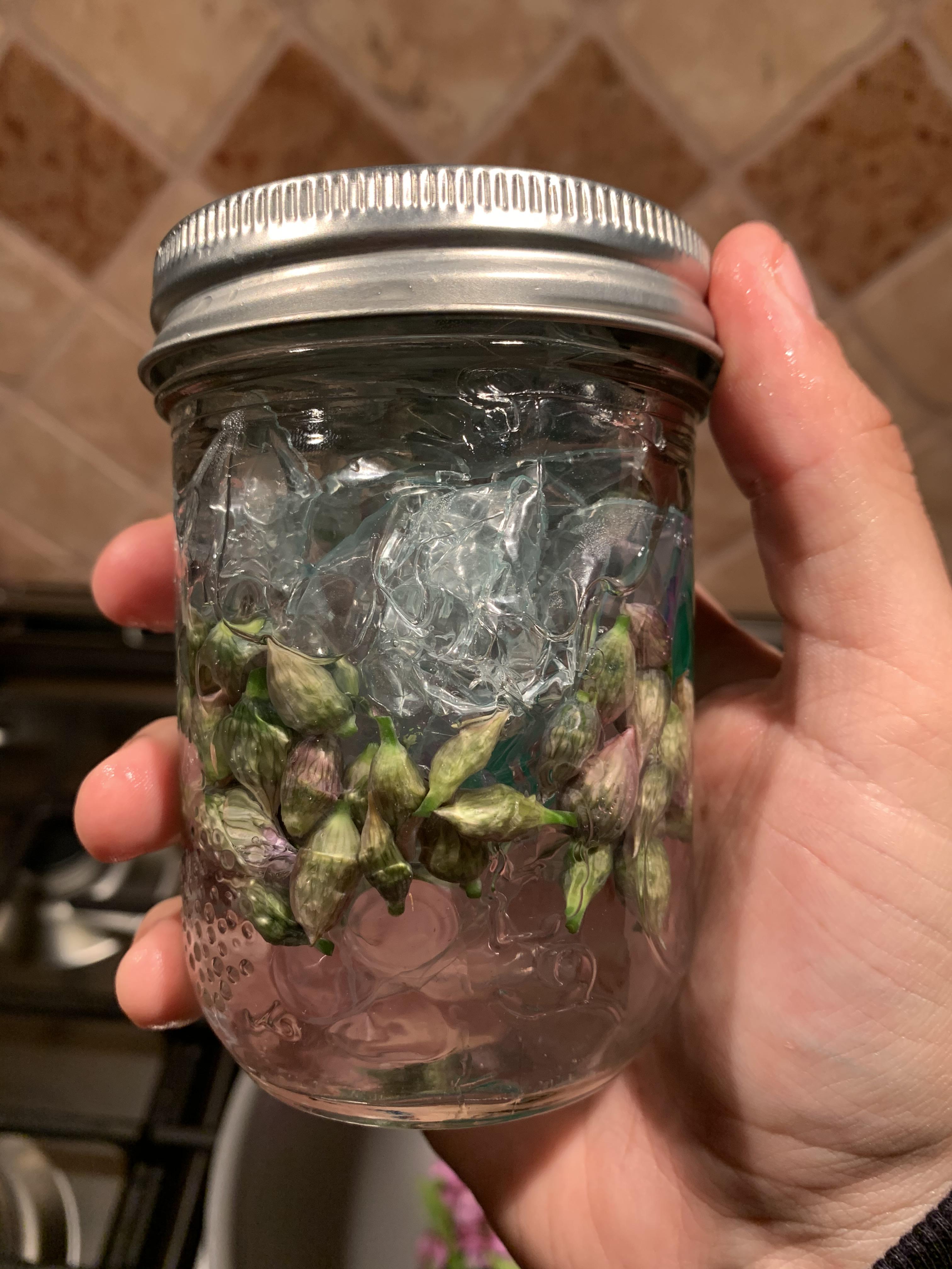Chive flower buds in 3 brine. What a powerful and delicious little