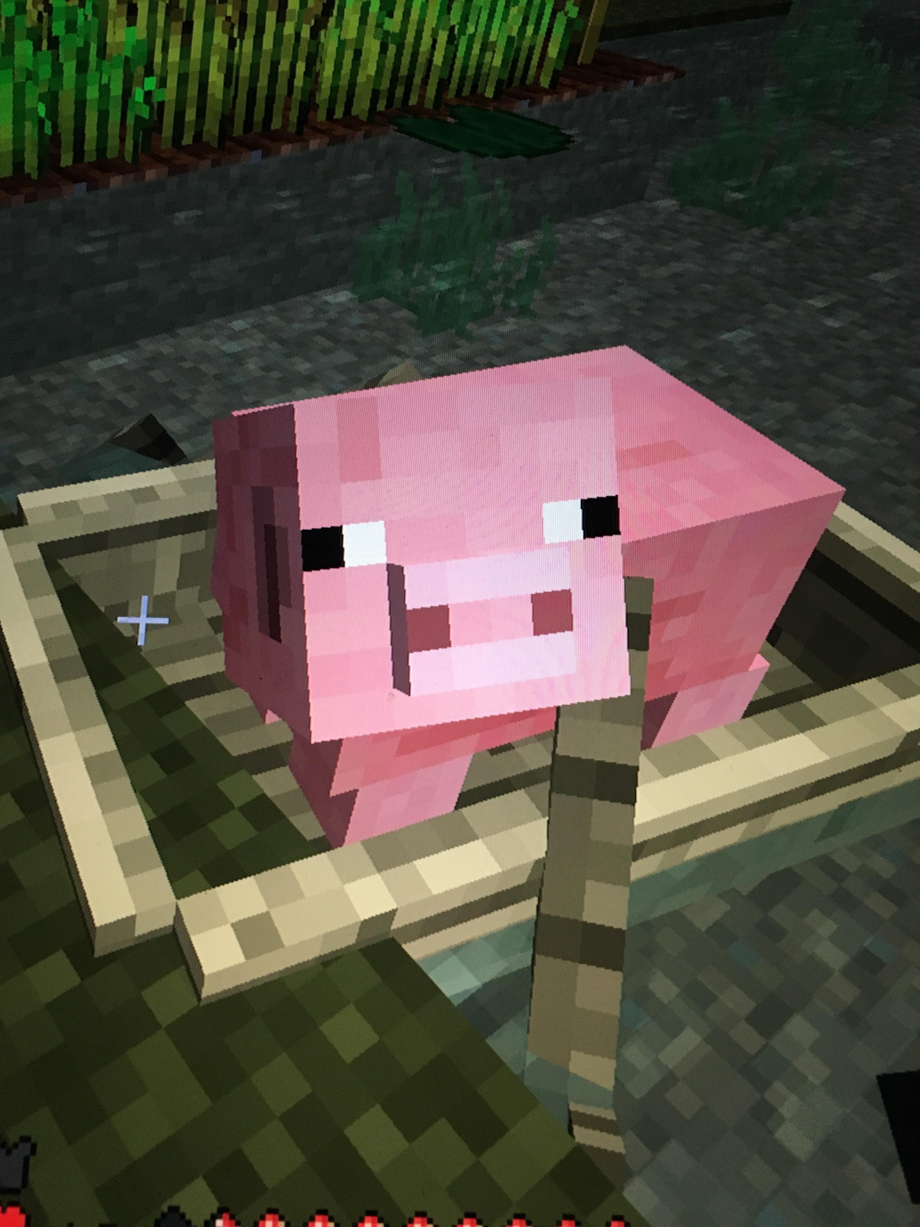 Minecraft Pig Axe Mineraft Things