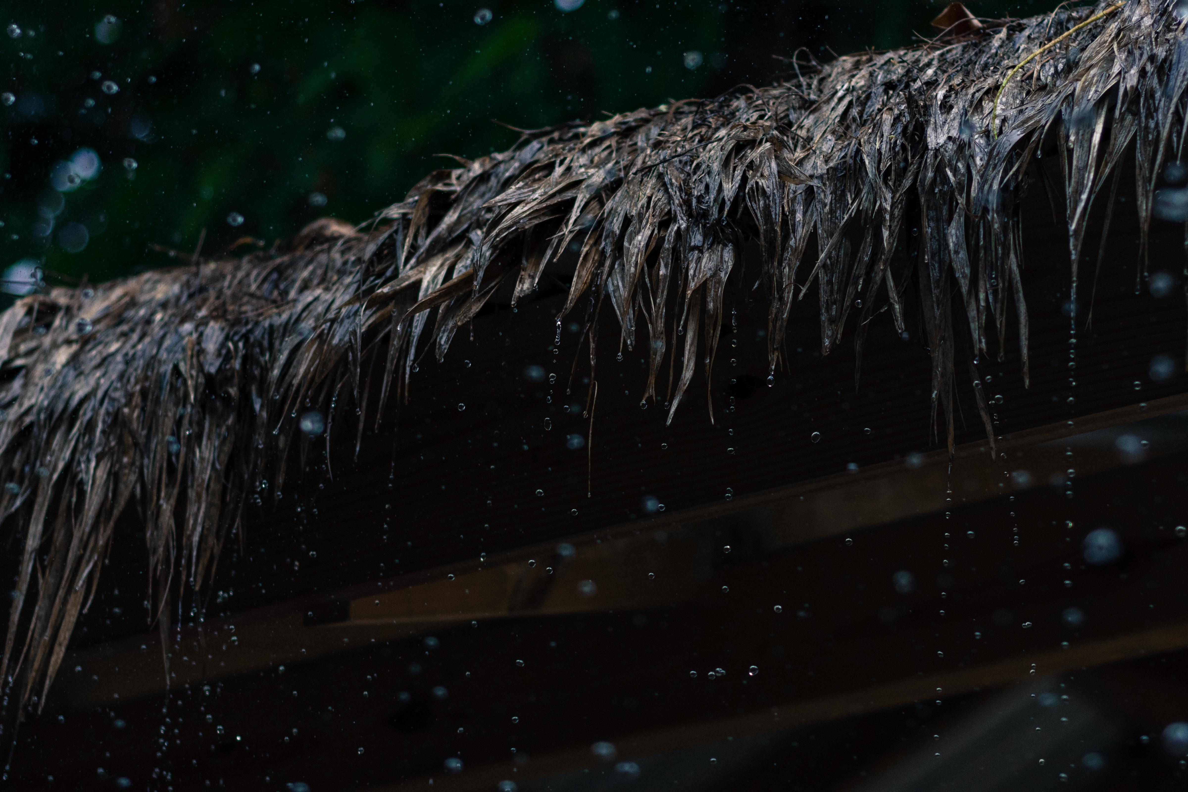 Rainy Season in Jamaica r/Photography101