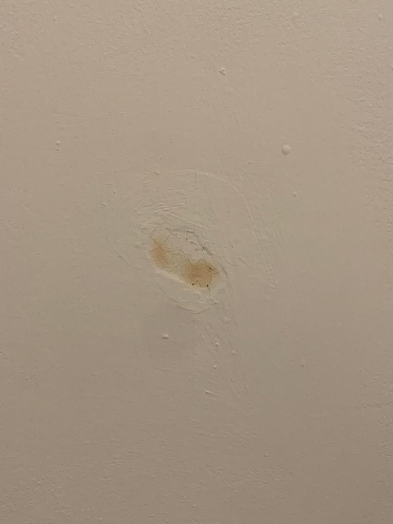 I painted my wall white and this yellow stain has come through. Its had