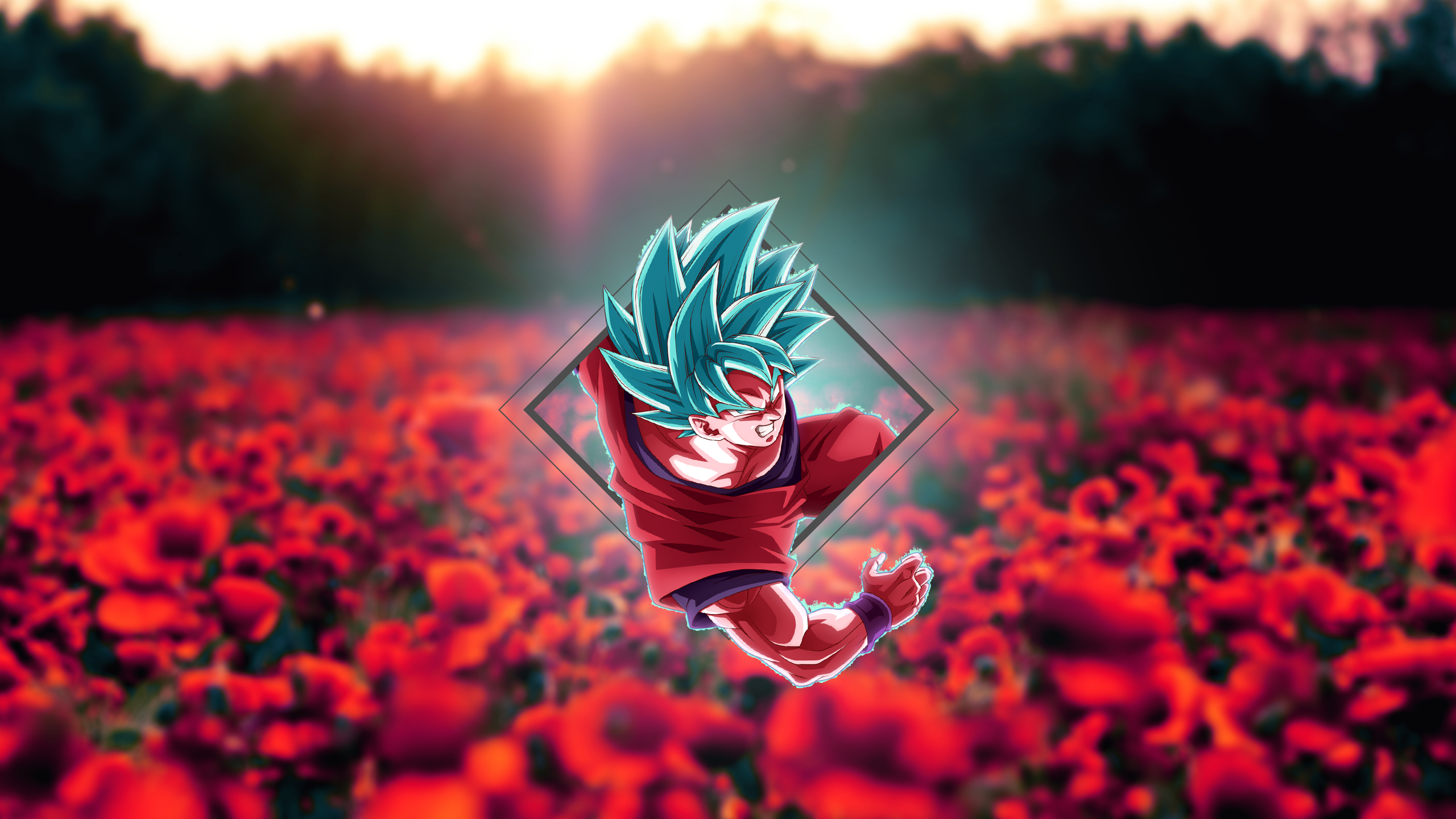 Dope 4K Dragon Ball Wallpaper Reddit Free