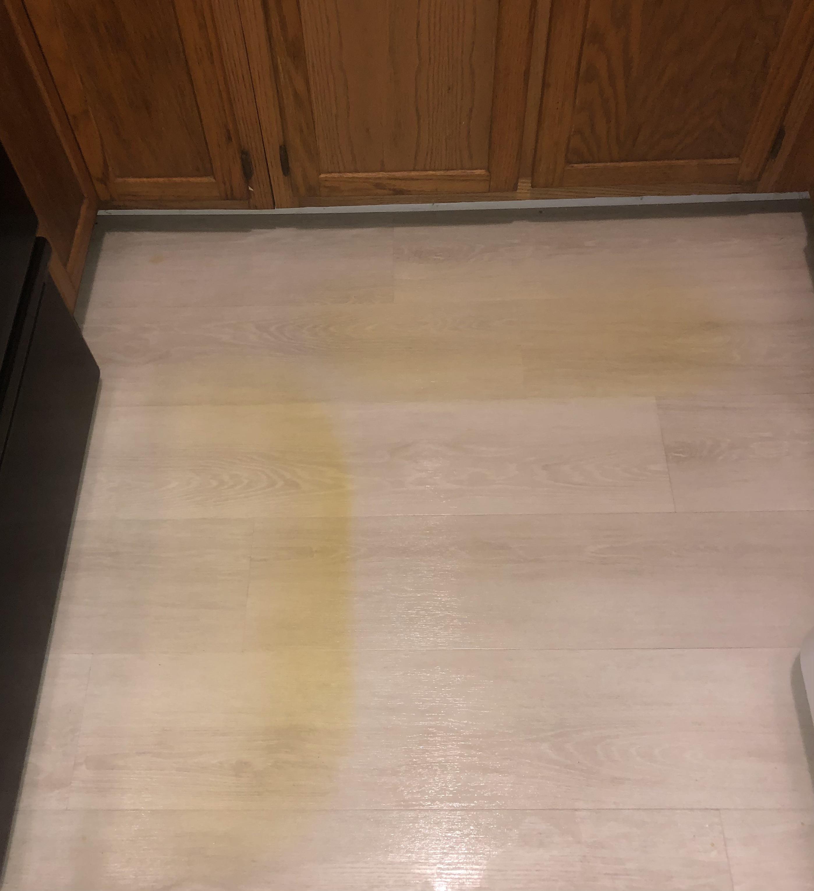 Getting yellow rug stain off laminate flooring (info in comments!) r