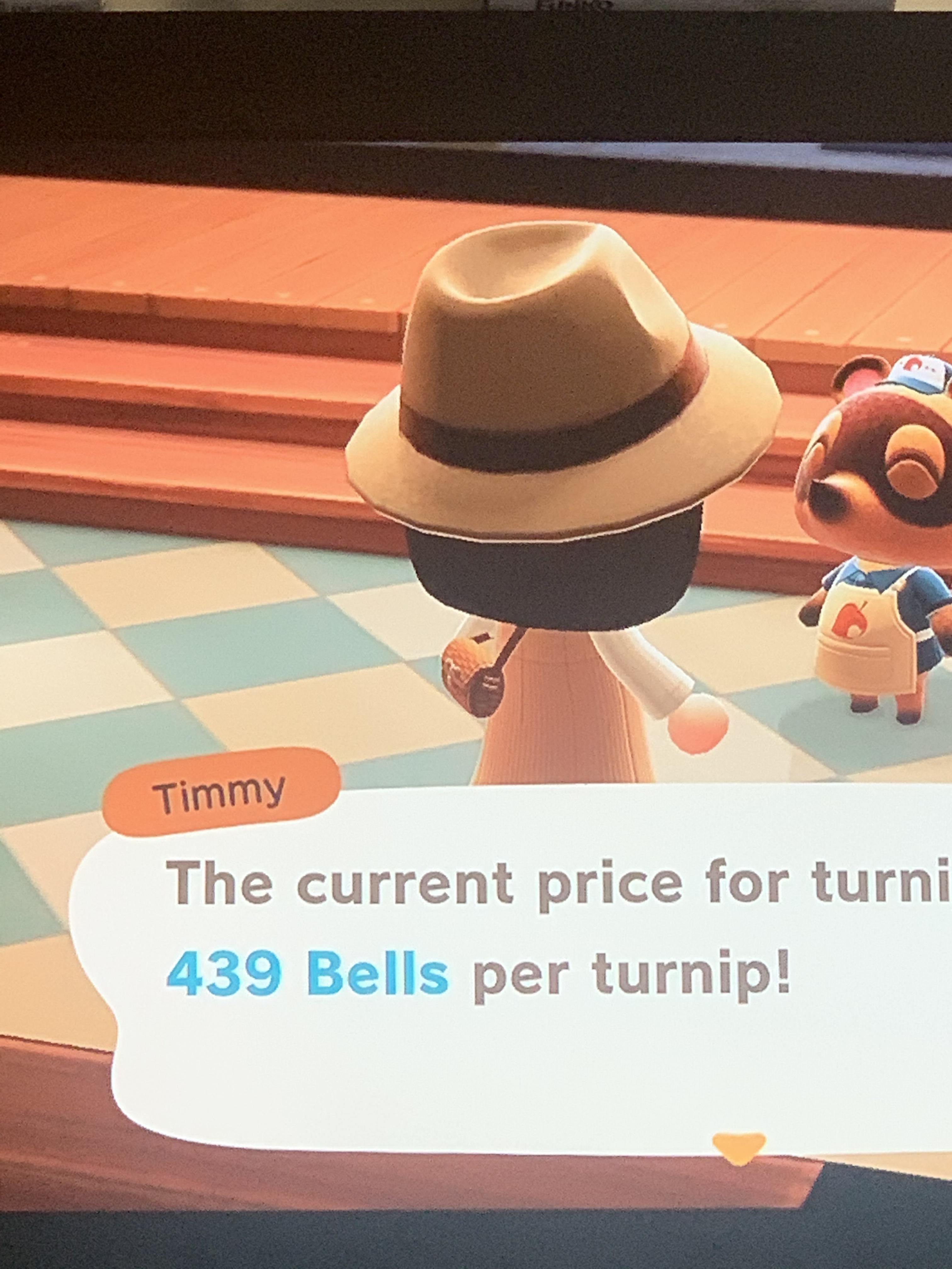Twins buying turnips for 439 a turnip! DM for dodo code any tips
