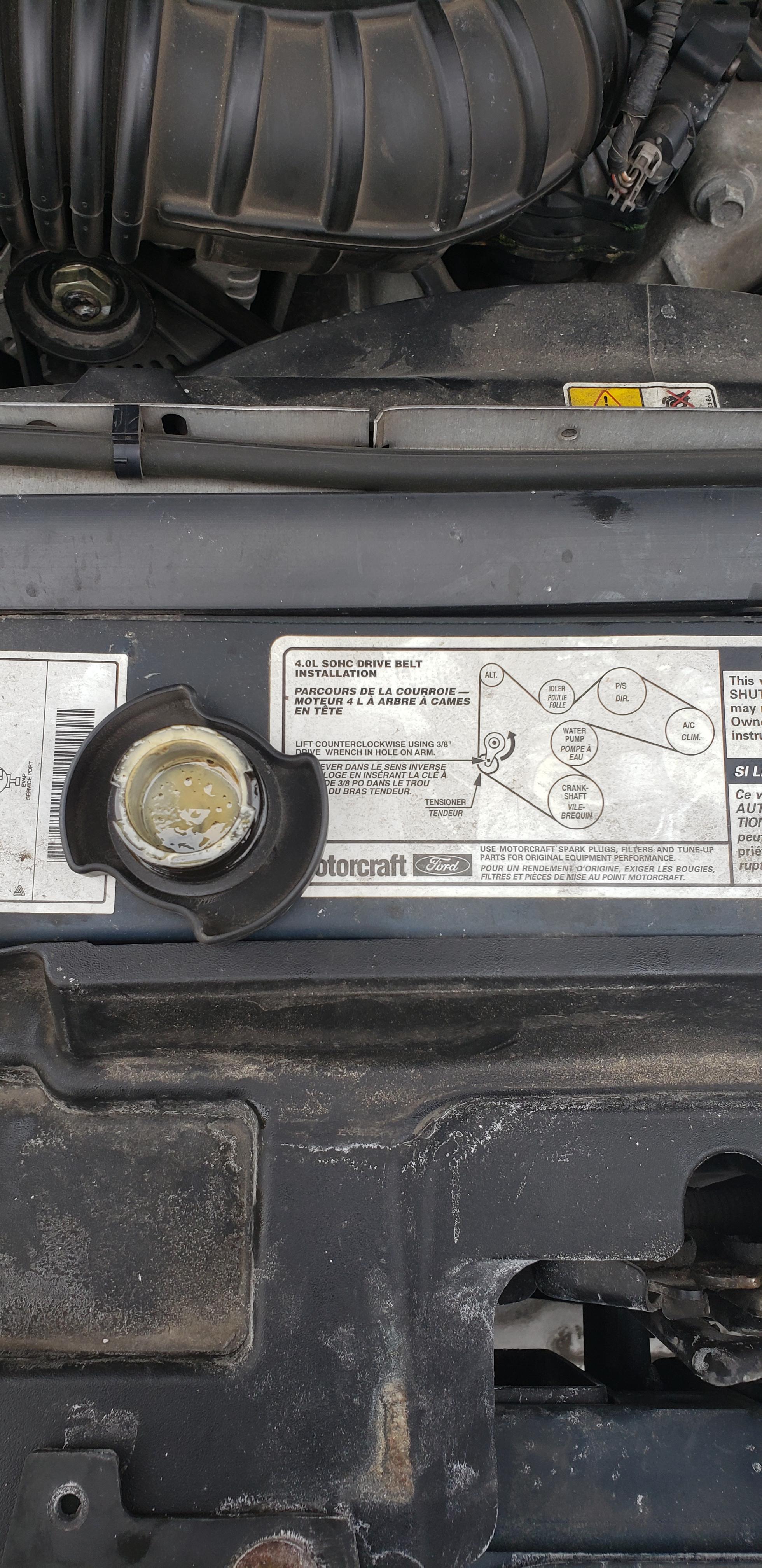 Is this water in my oil? r/MechanicAdvice