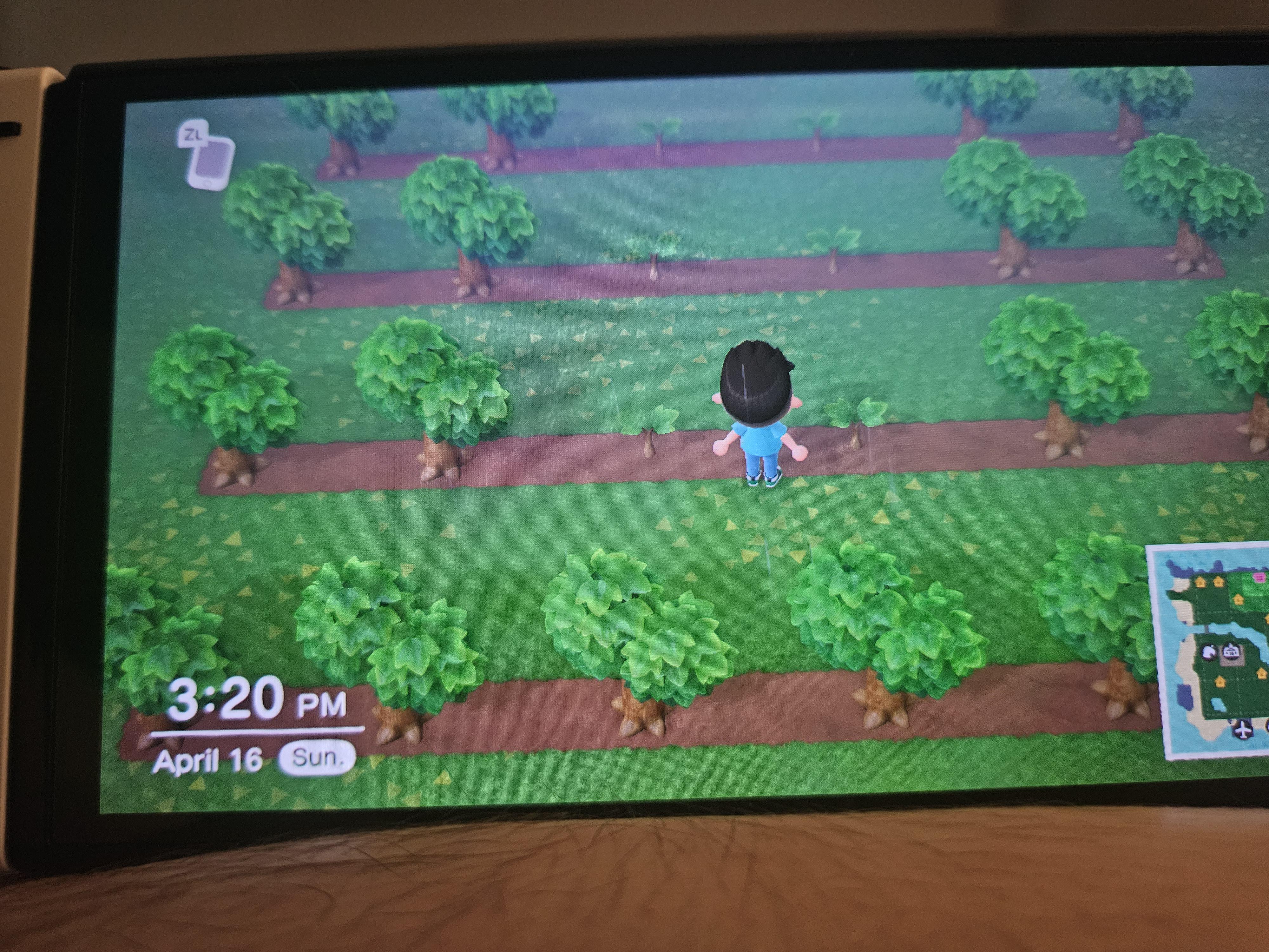 Why aren't my trees growing? r/acnh