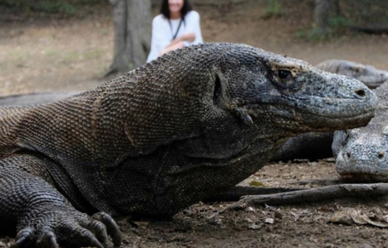 What Animal Has the Dirtiest Mouth