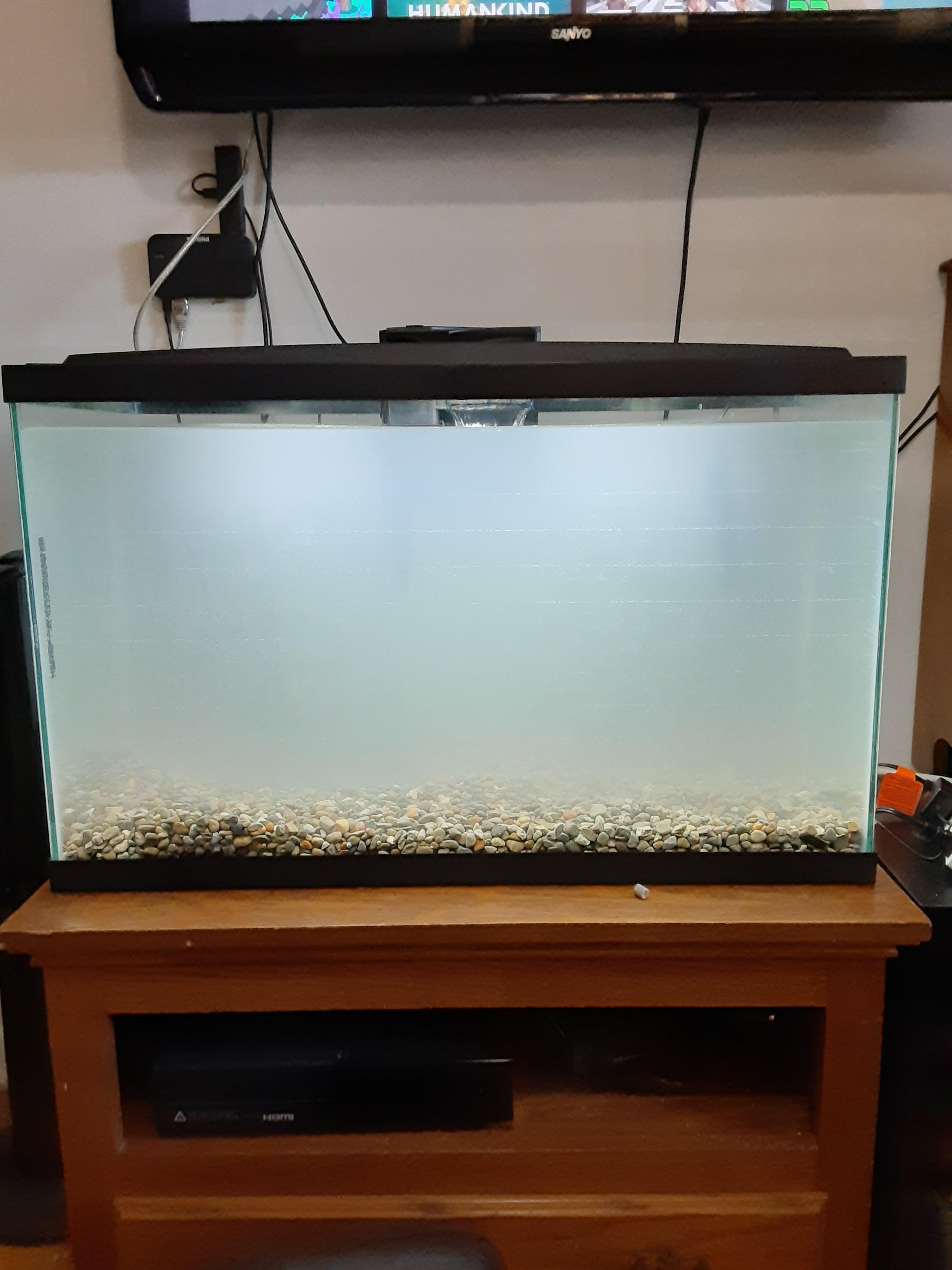 I just got my first tank! What are the best artificial plants