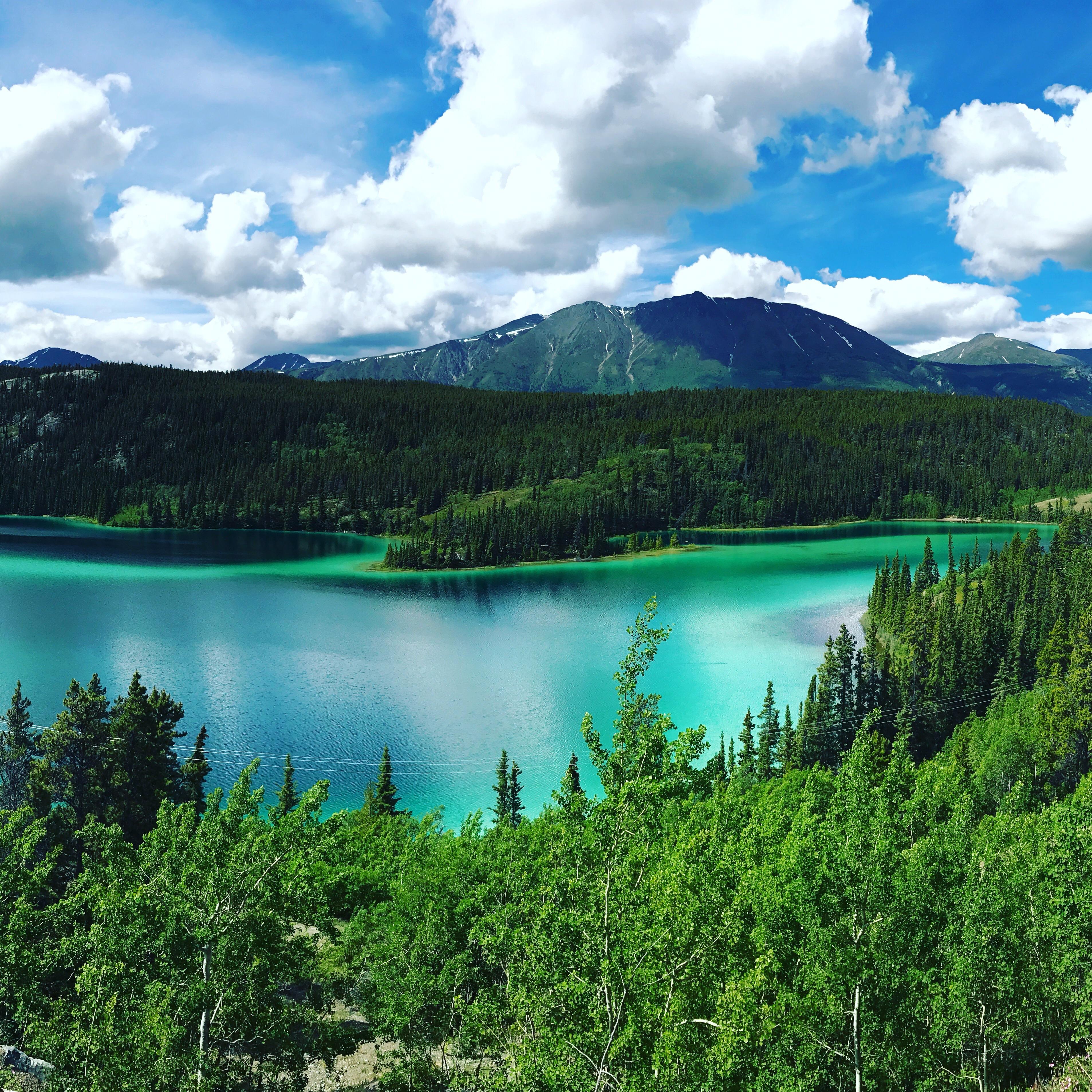 Emerald Lake, Yukon along the Klondike Highway r/pics