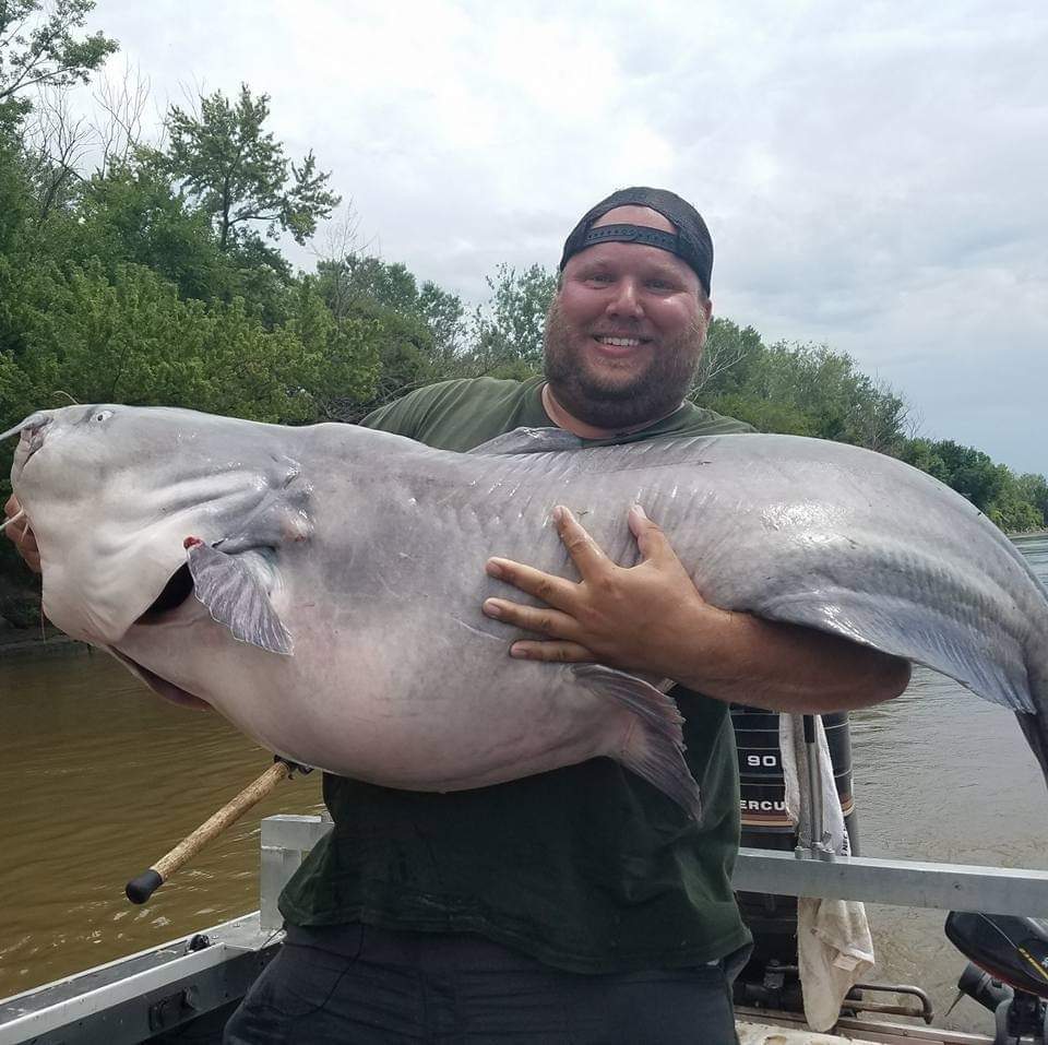 Catching huge blue catfish is one thing I enjoy! r/Fishing