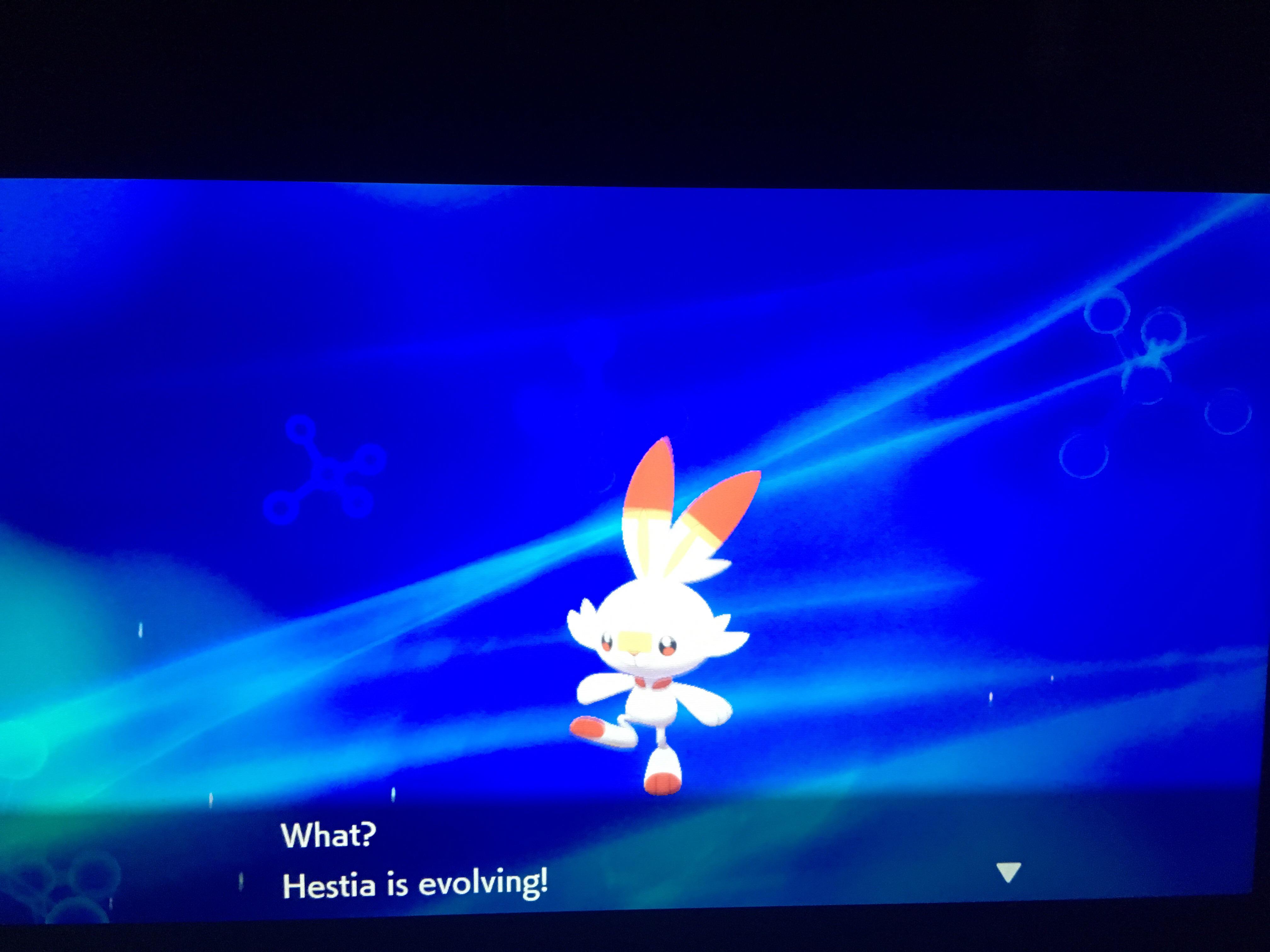 Haven’t played since original GS, but is there a reason to stop evolutions? Different moves