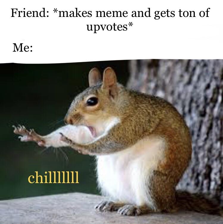 chill meme