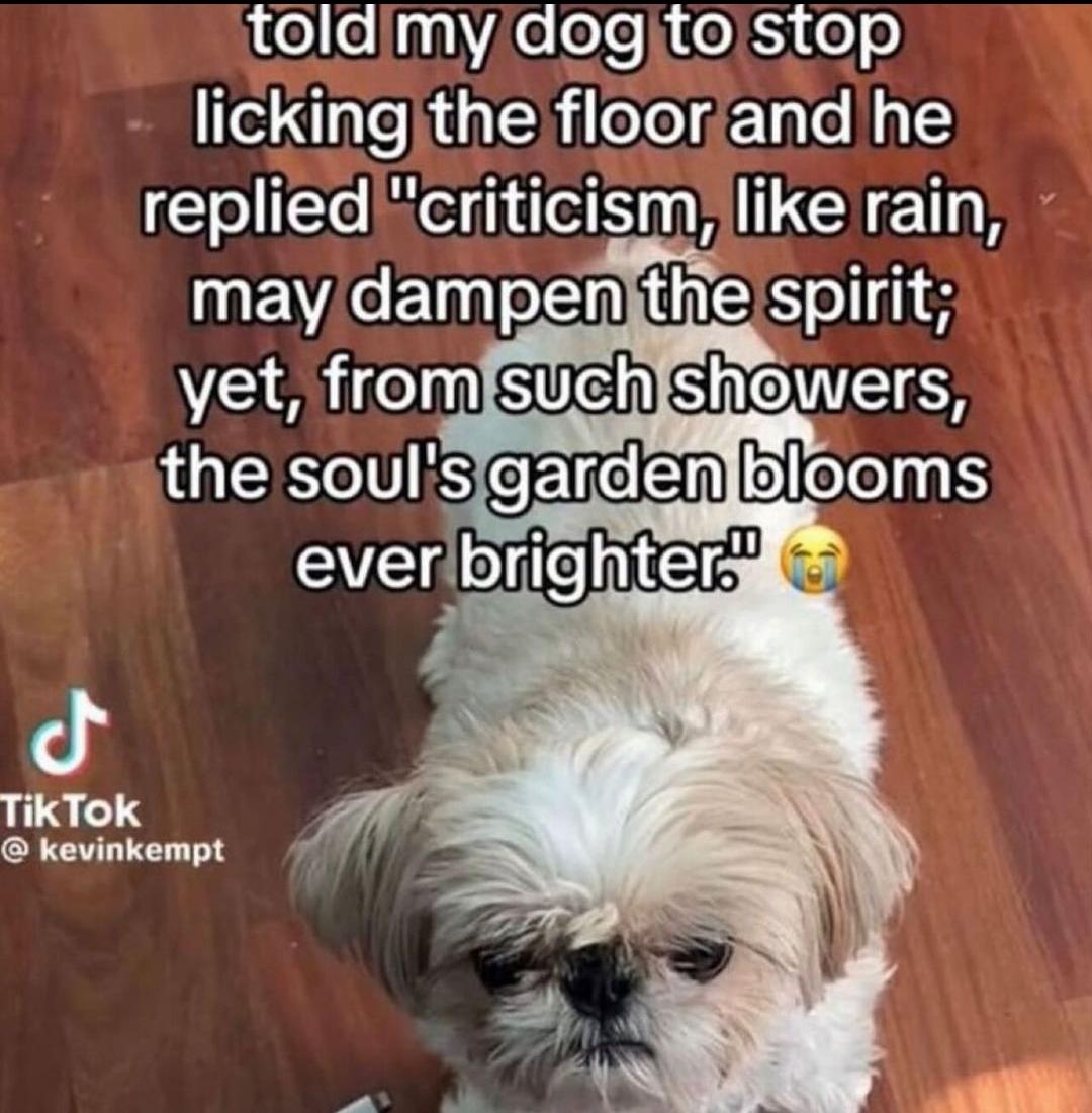 How do you even make this up r/oddlyspecific