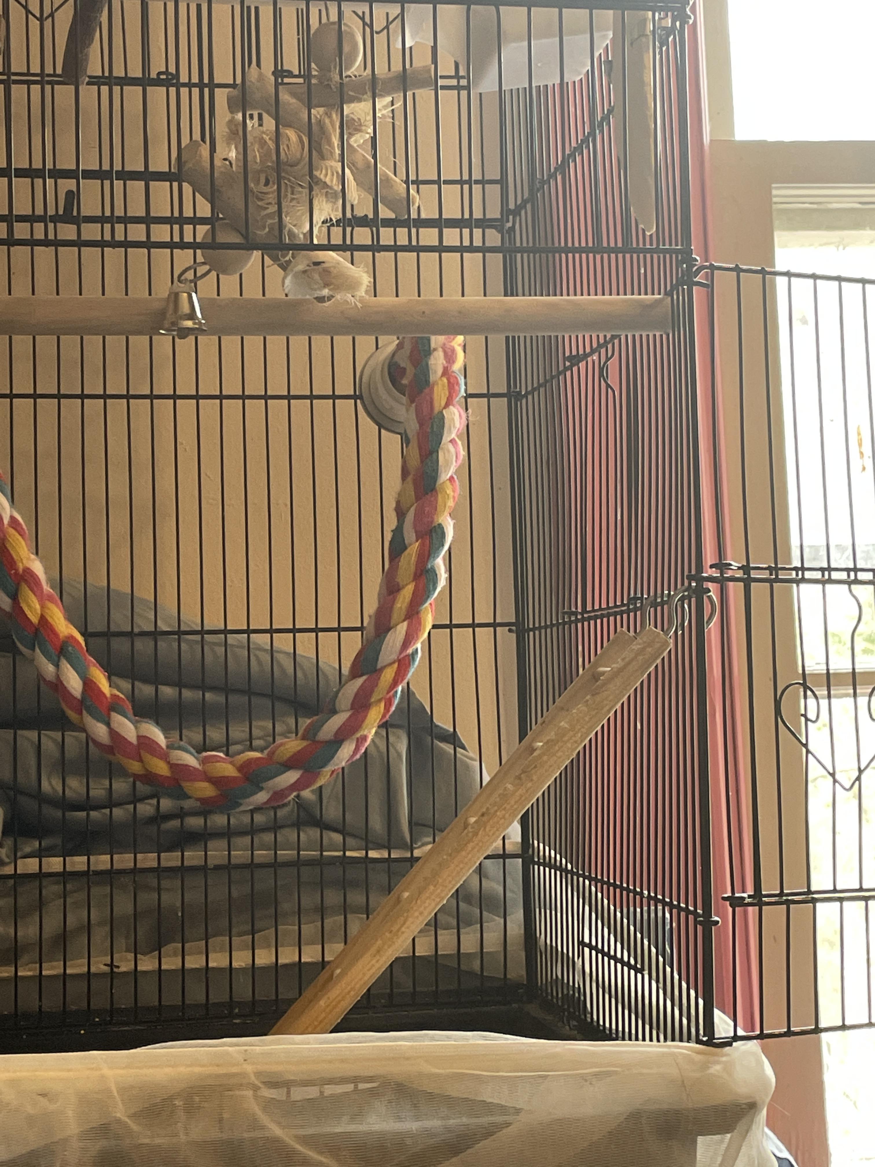 I used apple cider vinegar and dawn soap to clean perches is that ok