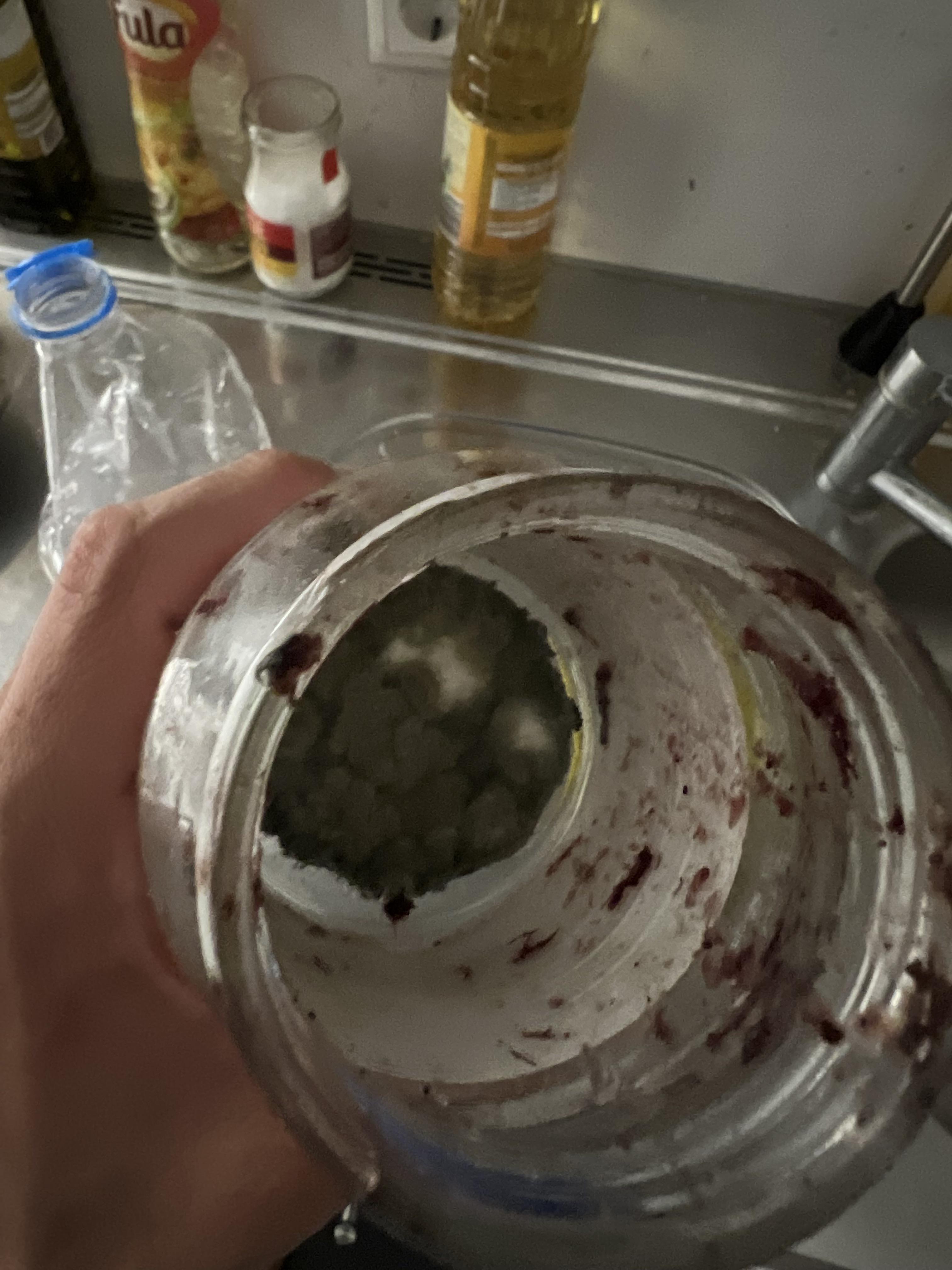 My friend left some jelly in the fridge for months r/MoldlyInteresting