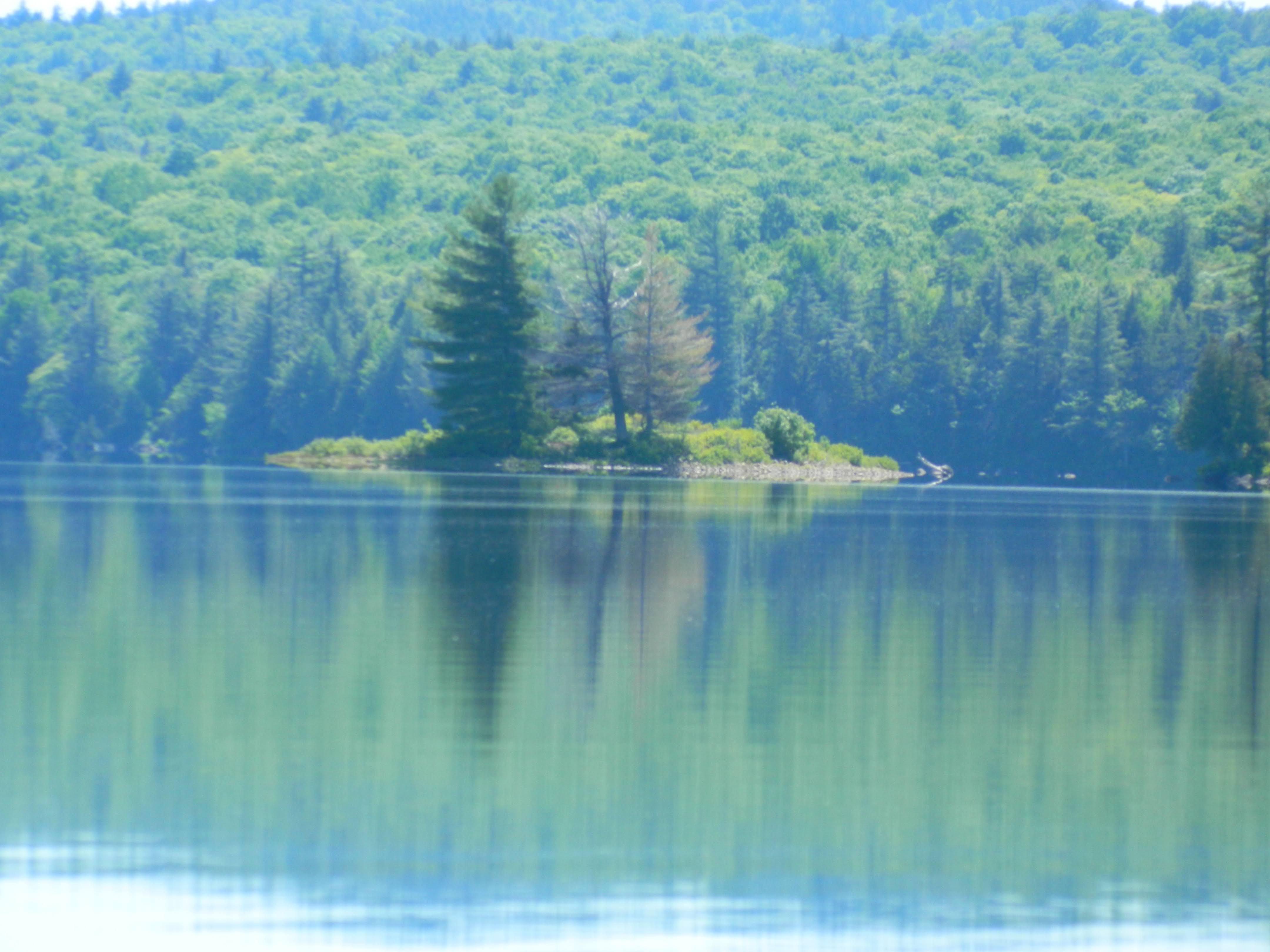 One of the islands on Little Tupper Lake William C. Whitney