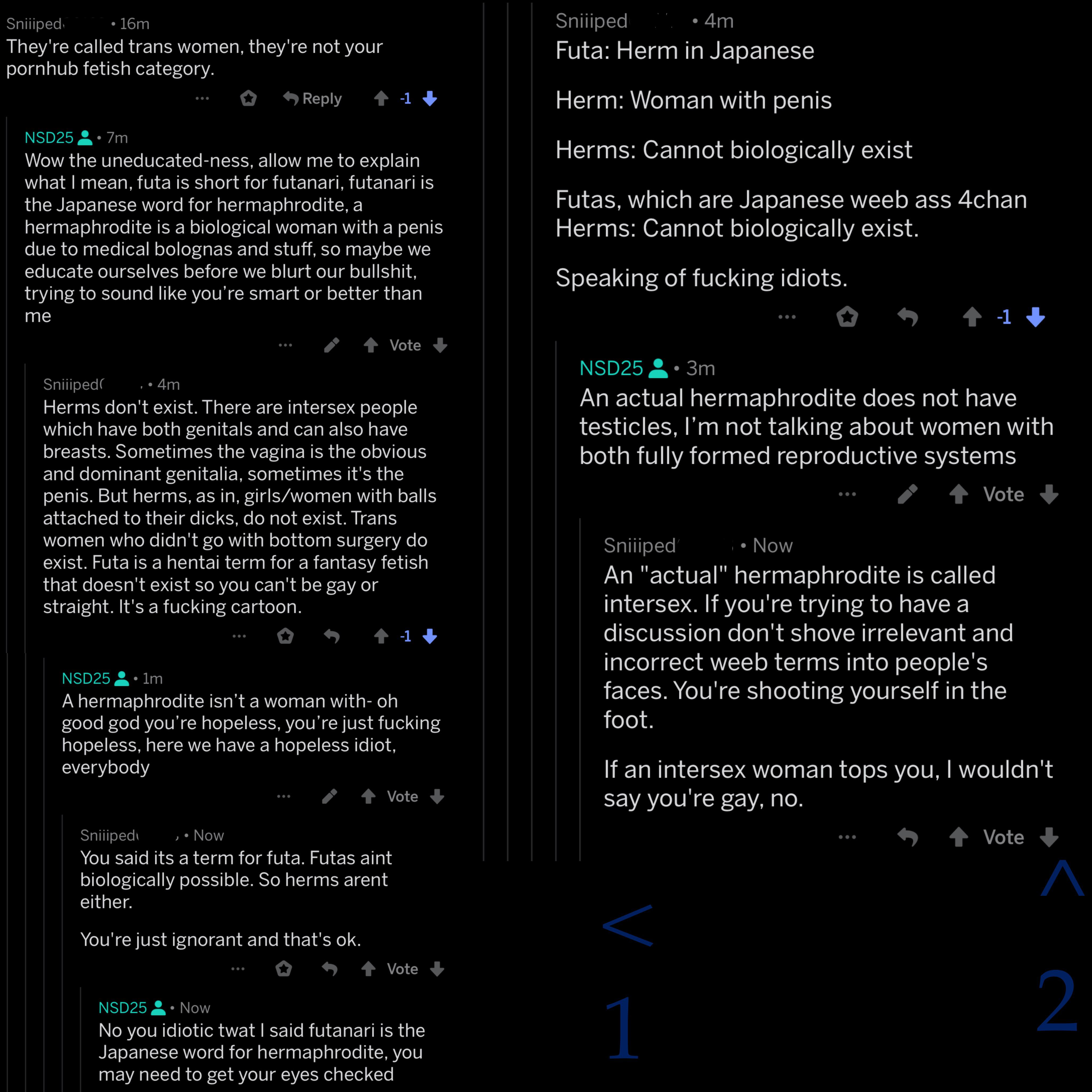 Apparently hermaphrodite isn’t a medical term, but weeb shit r