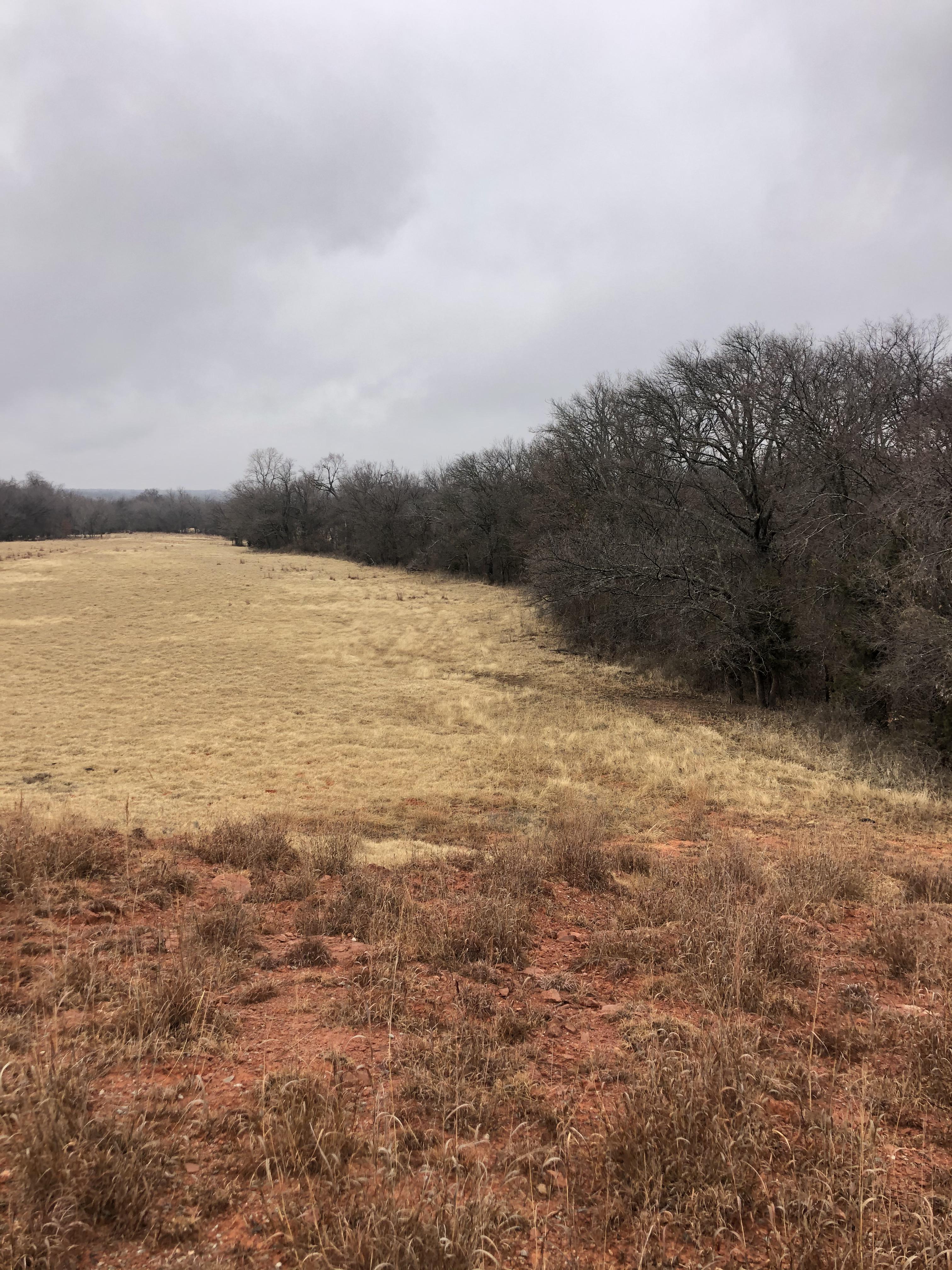 Gloomy beauty Alex, Oklahoma [OC][1334 x 750, 1920 x 1080] r/EarthPorn