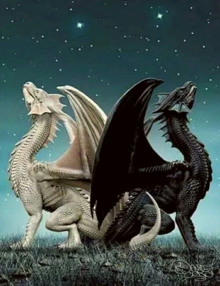 Couple dragons. White and black. r/AgeOfDragons